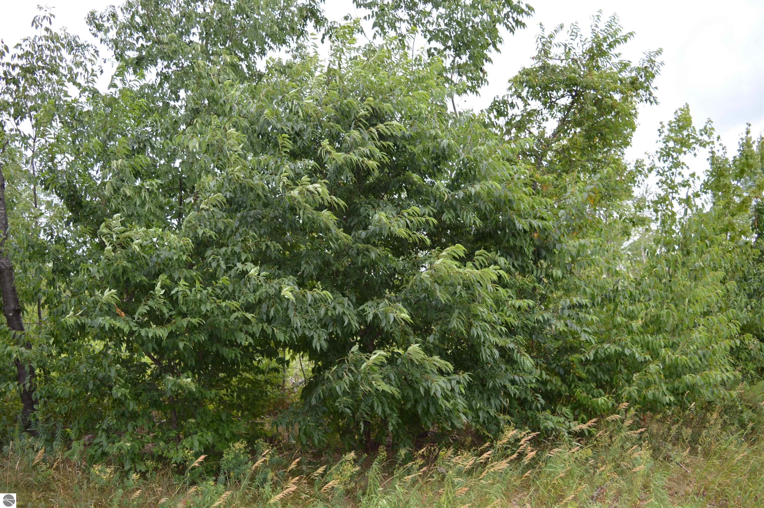 Image of property