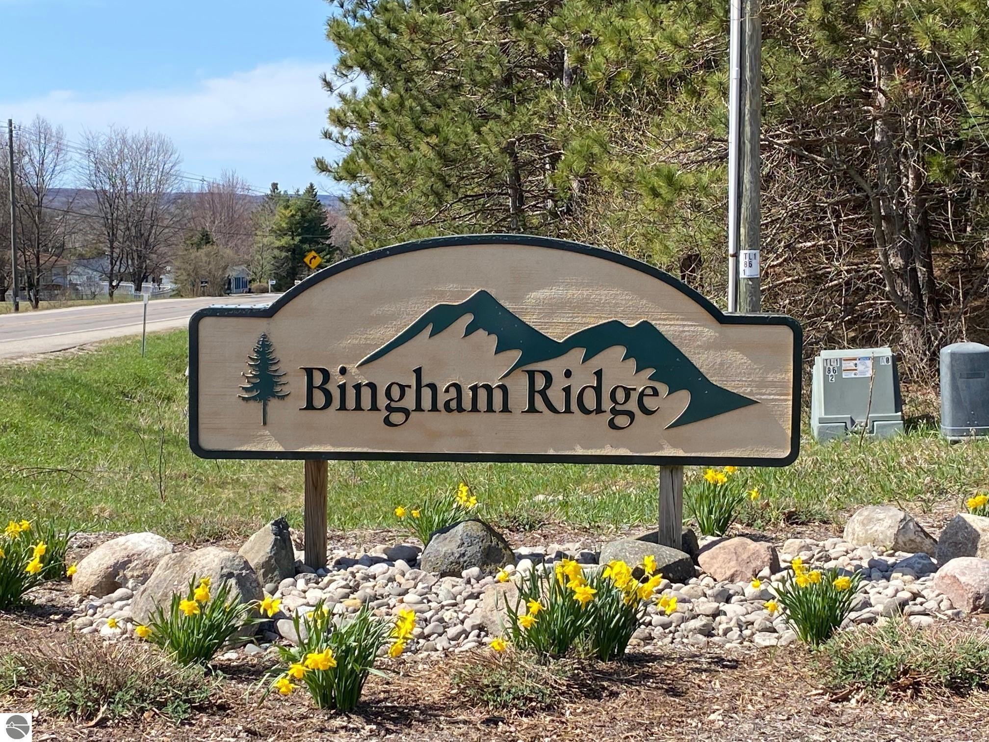 7522      Bingham Ridge Drive