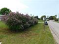 Photo 2 for MLS 1911497