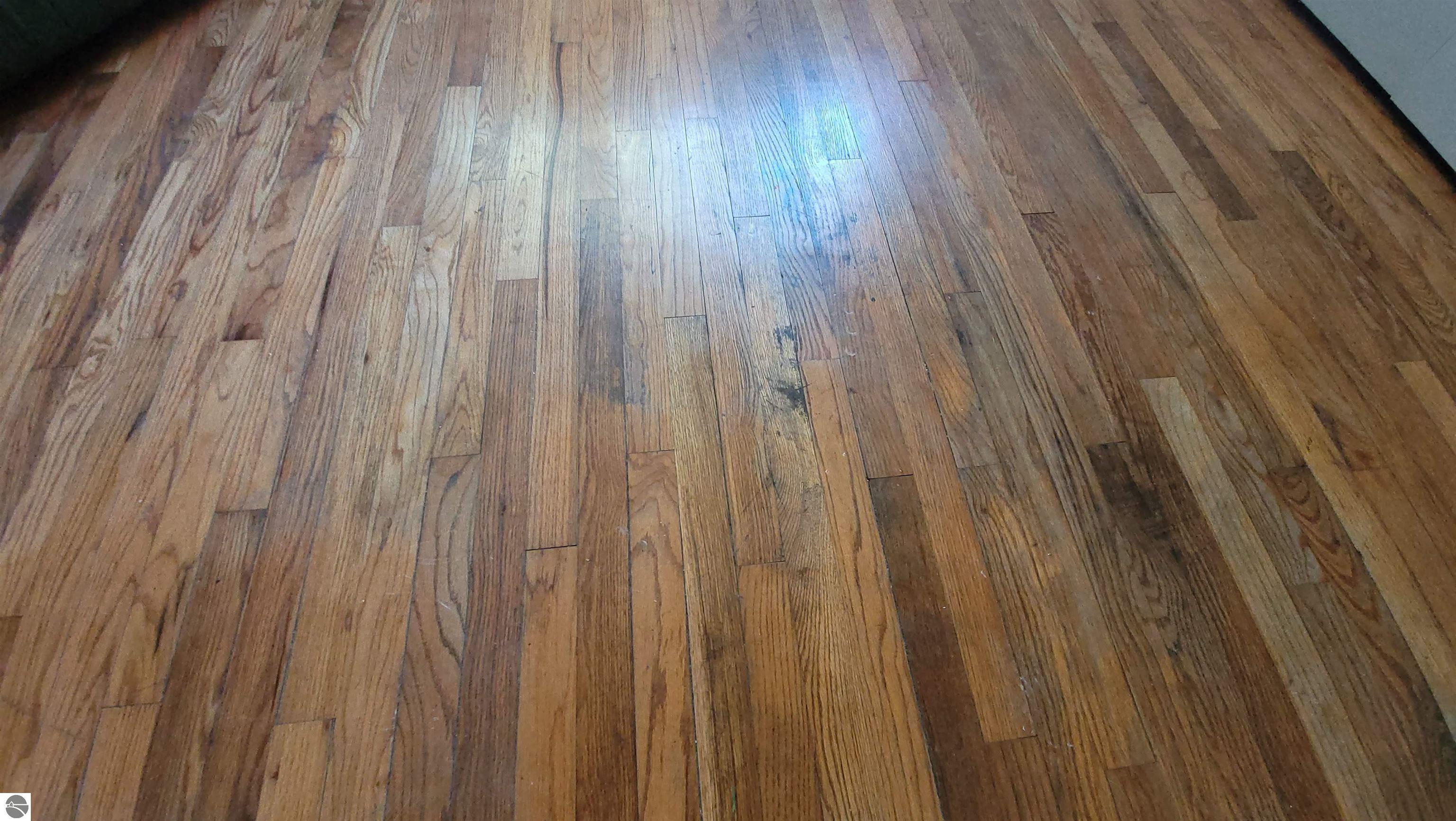 6740 Frankfort Highway, Benzonia, MI 49616 — Photo 22