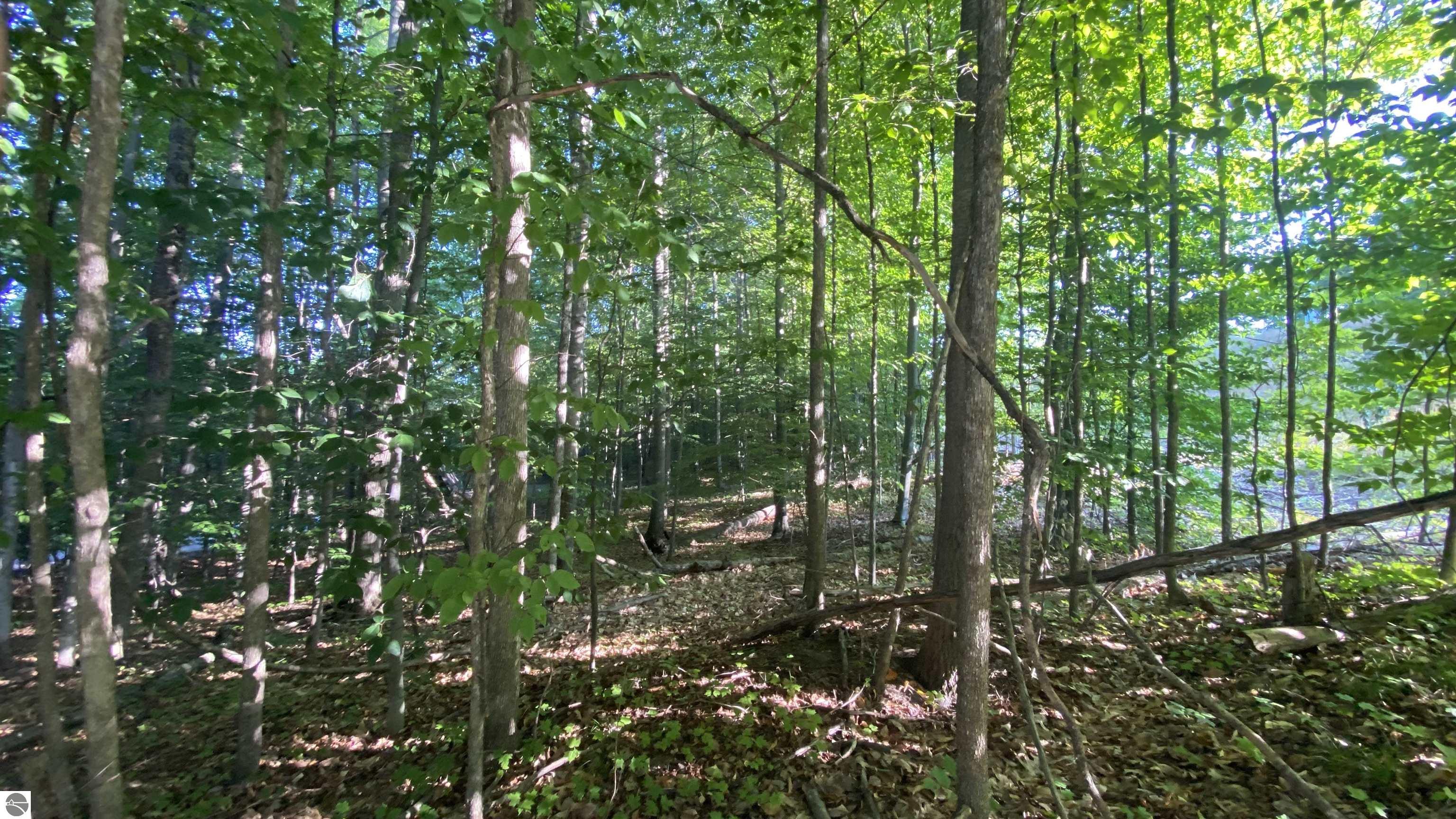 Lot 61 East Village Drive Bellaire, MI 49615 MLS 1915050