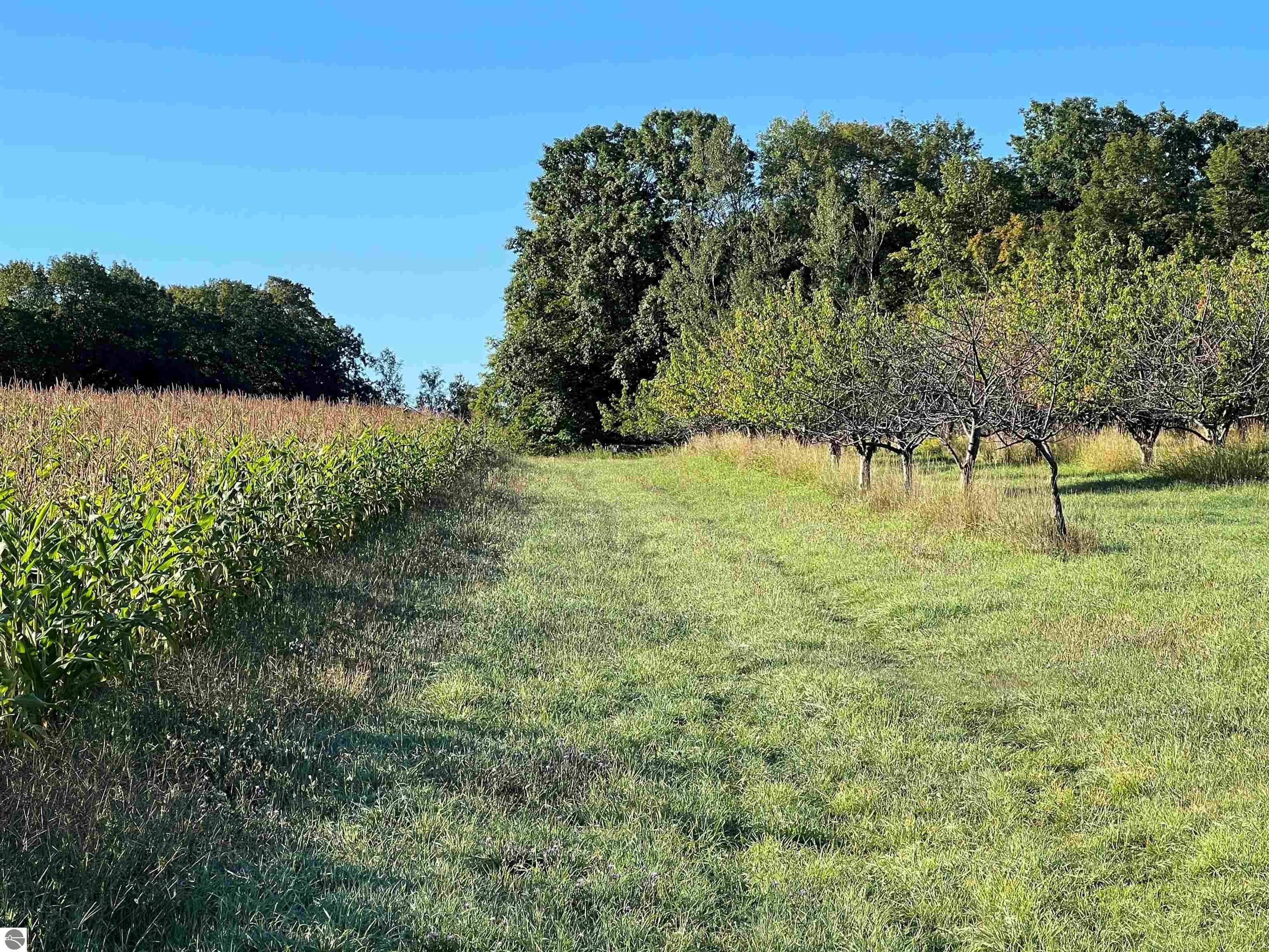       Hoeft Road