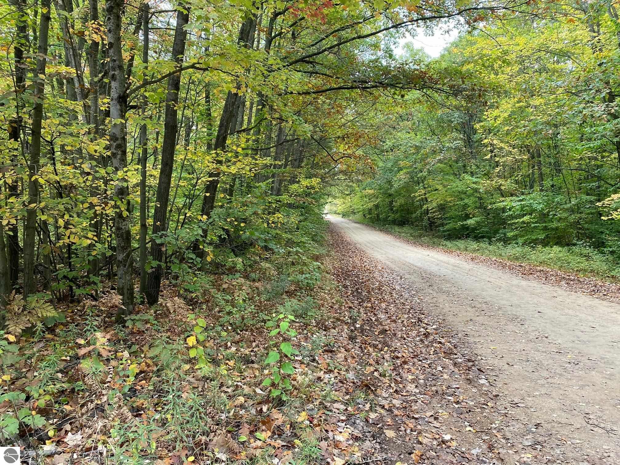 Swiss Drive Reed City, MI 49677 9,900