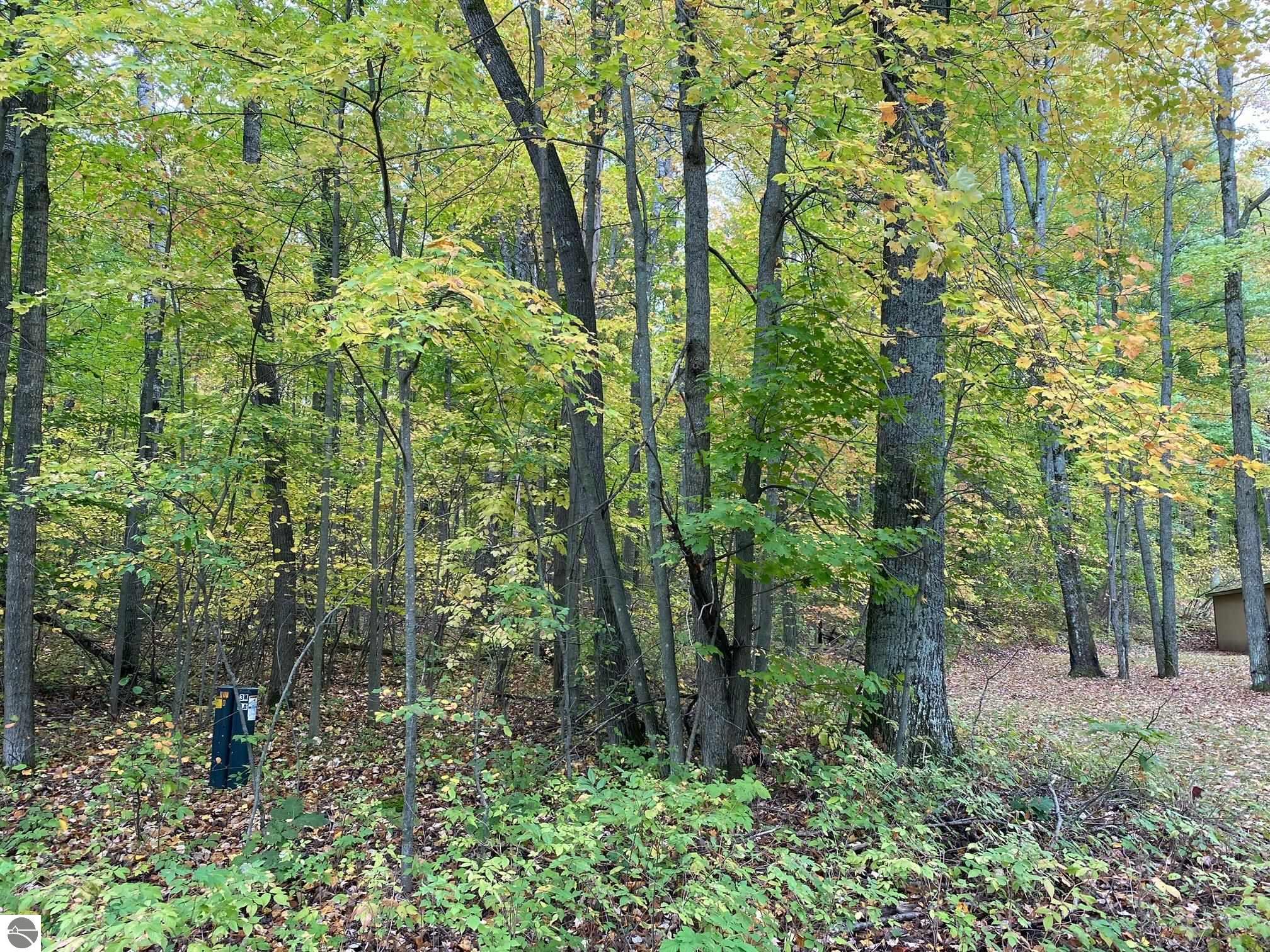 Alpine Drive Reed City, MI 49677 9,900