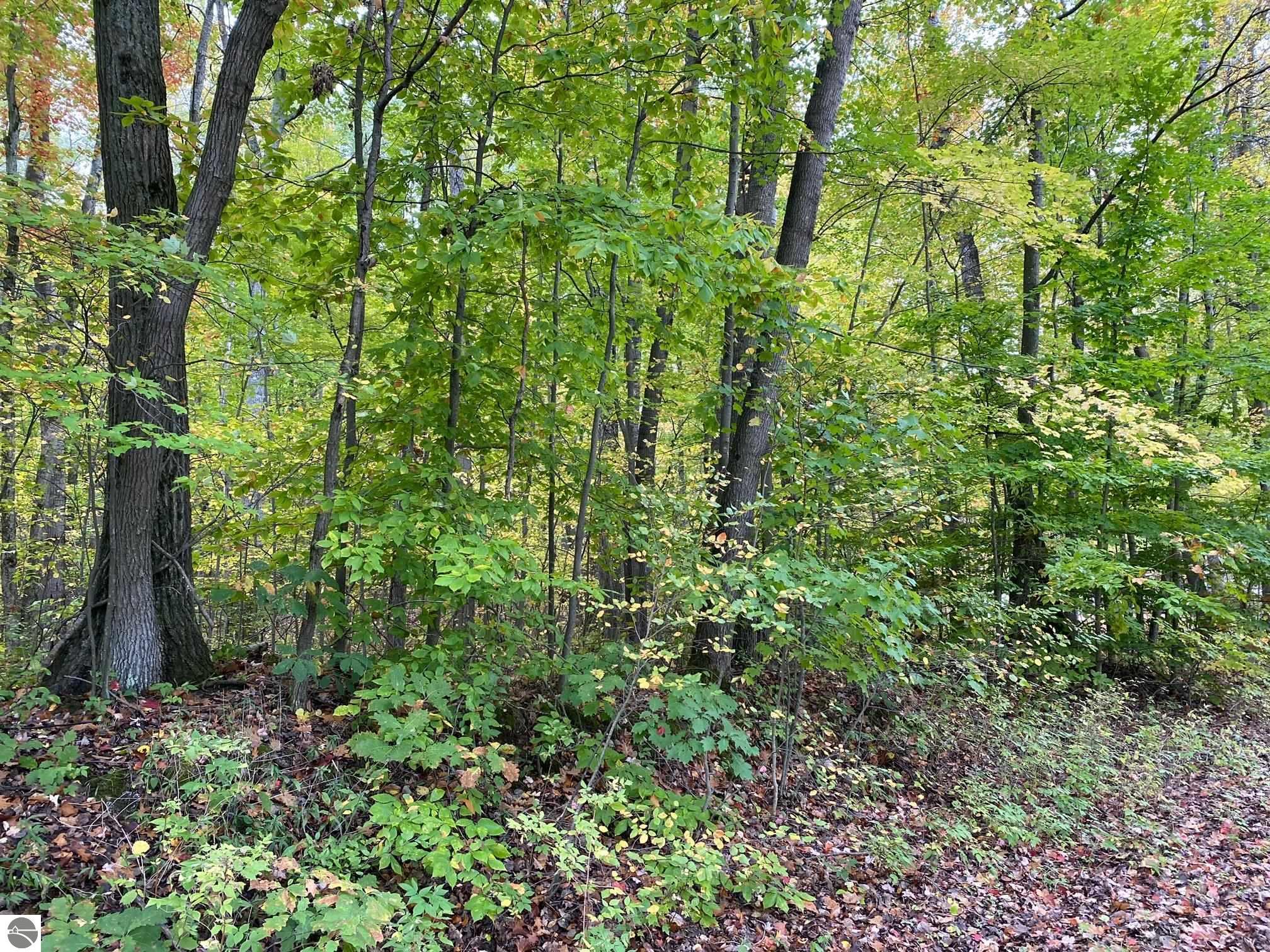 Alpine Drive Reed City, MI 49677 9,900