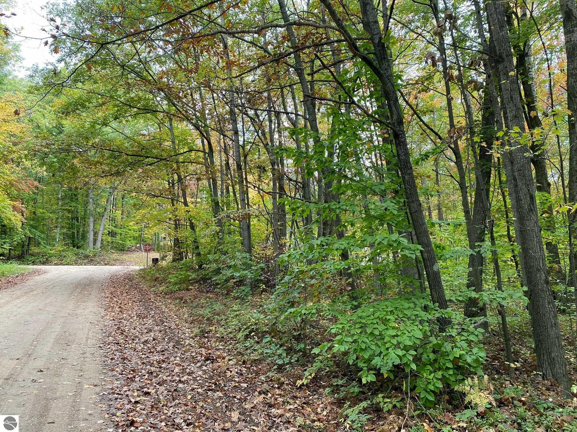 Alpine Drive Reed City, MI 49677 9,900