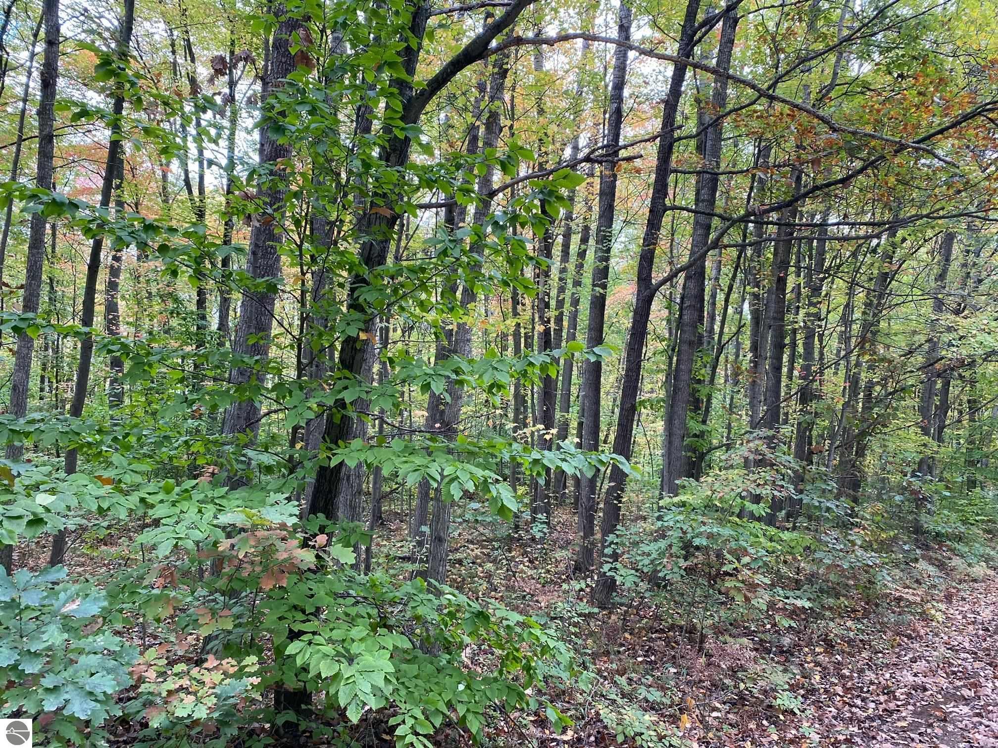 Alpine Drive Reed City, MI 49677 9,900