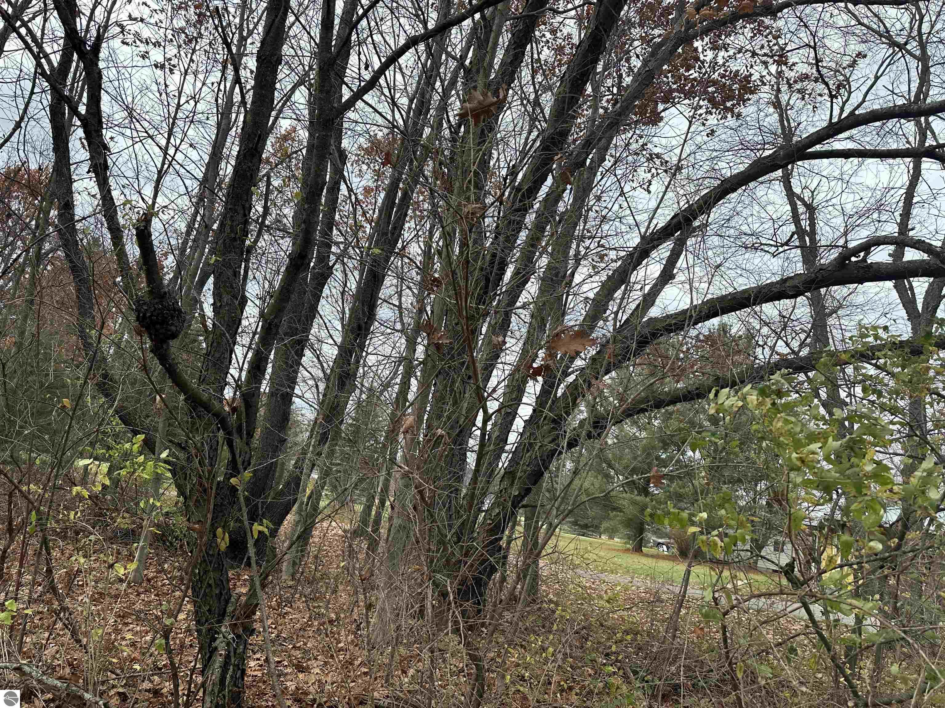 Image of property
