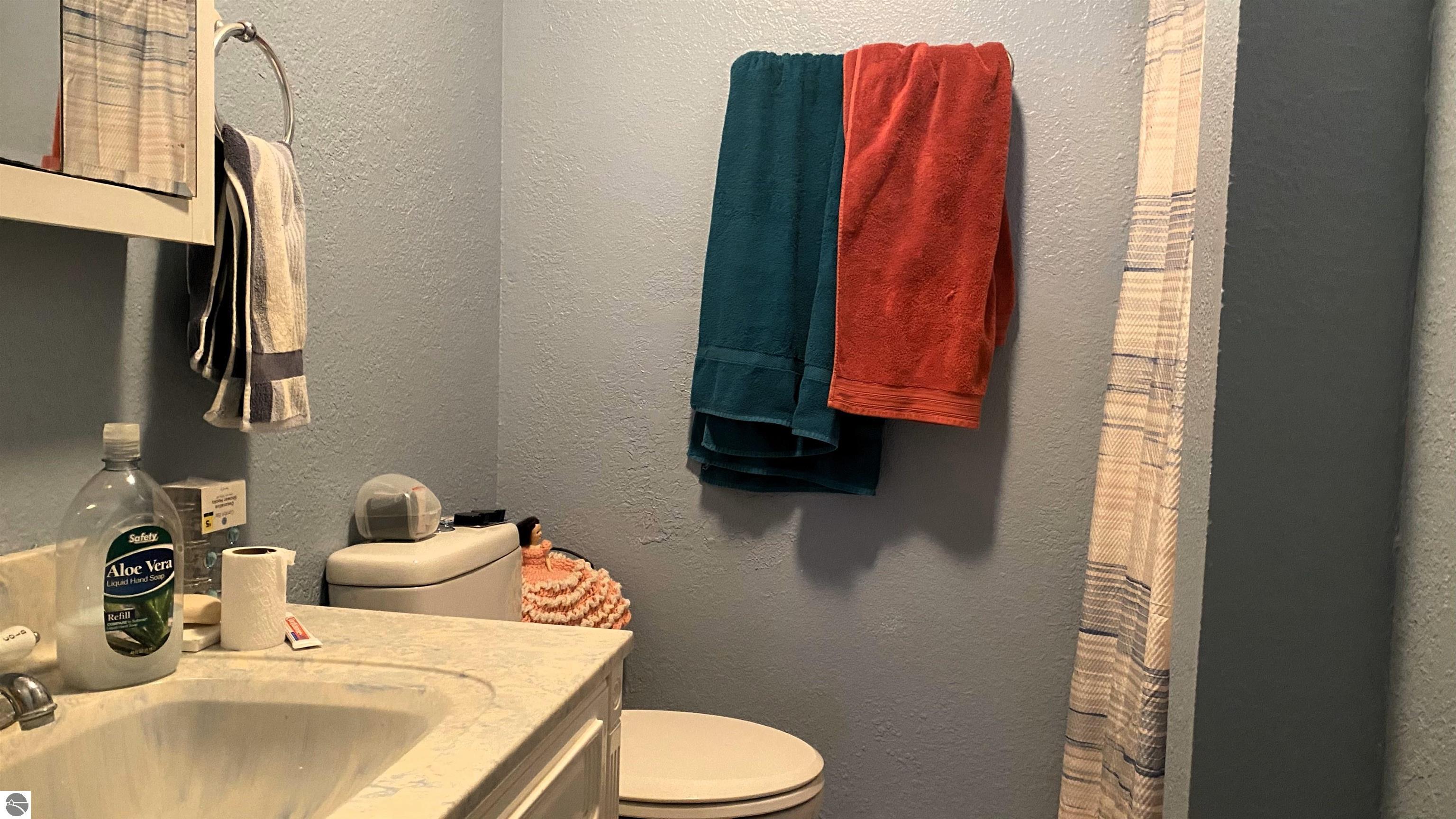 406 E Division Street, Mancelona, MI 49659 — Photo 16
