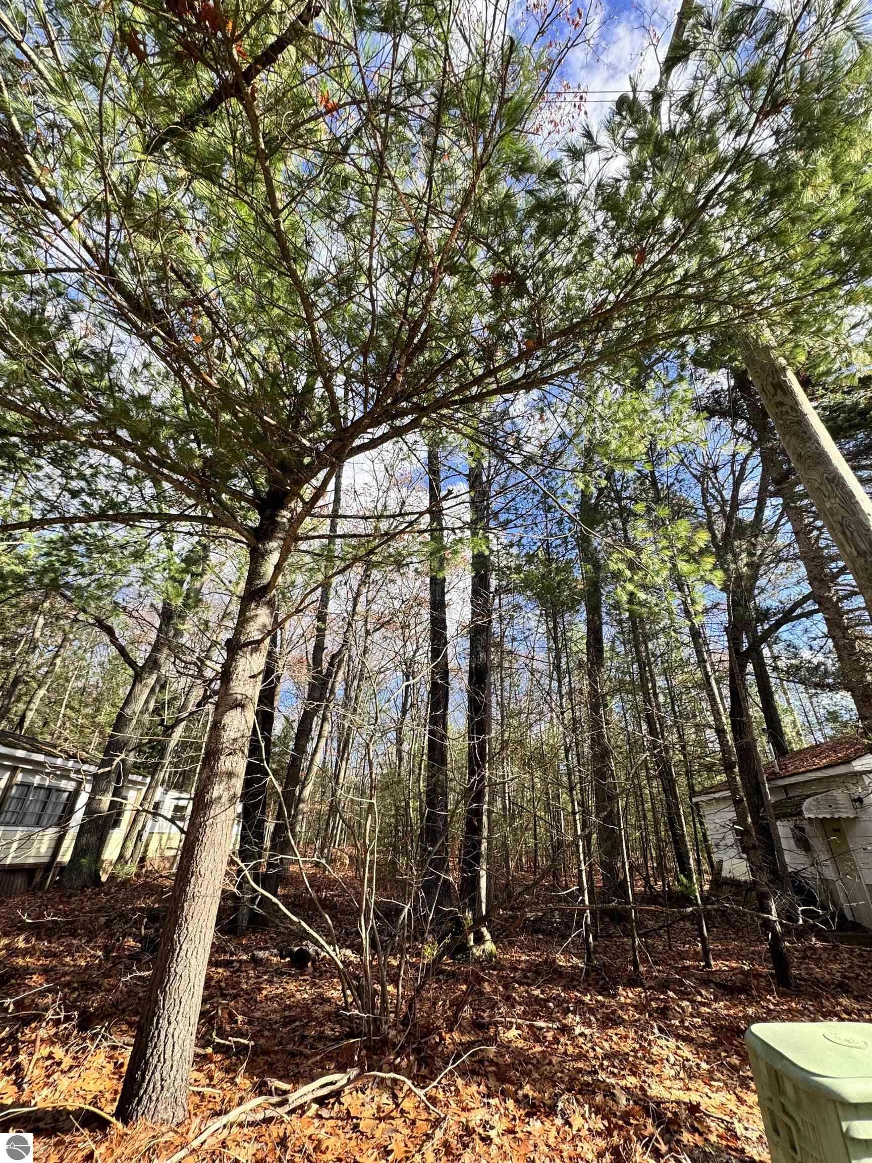 W Bear Lake Road Kalkaska, MI 49646 25,000