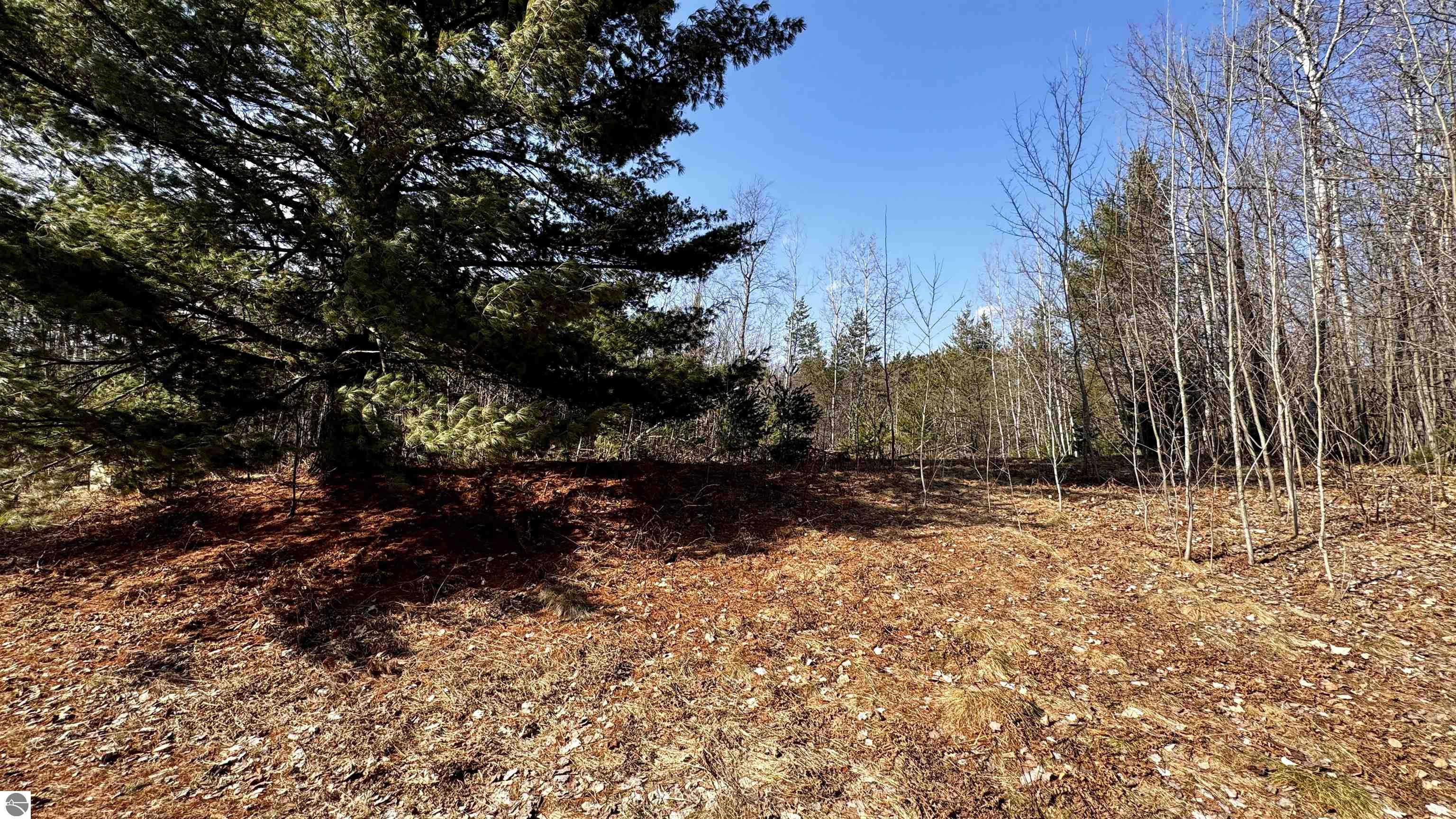 Image of property