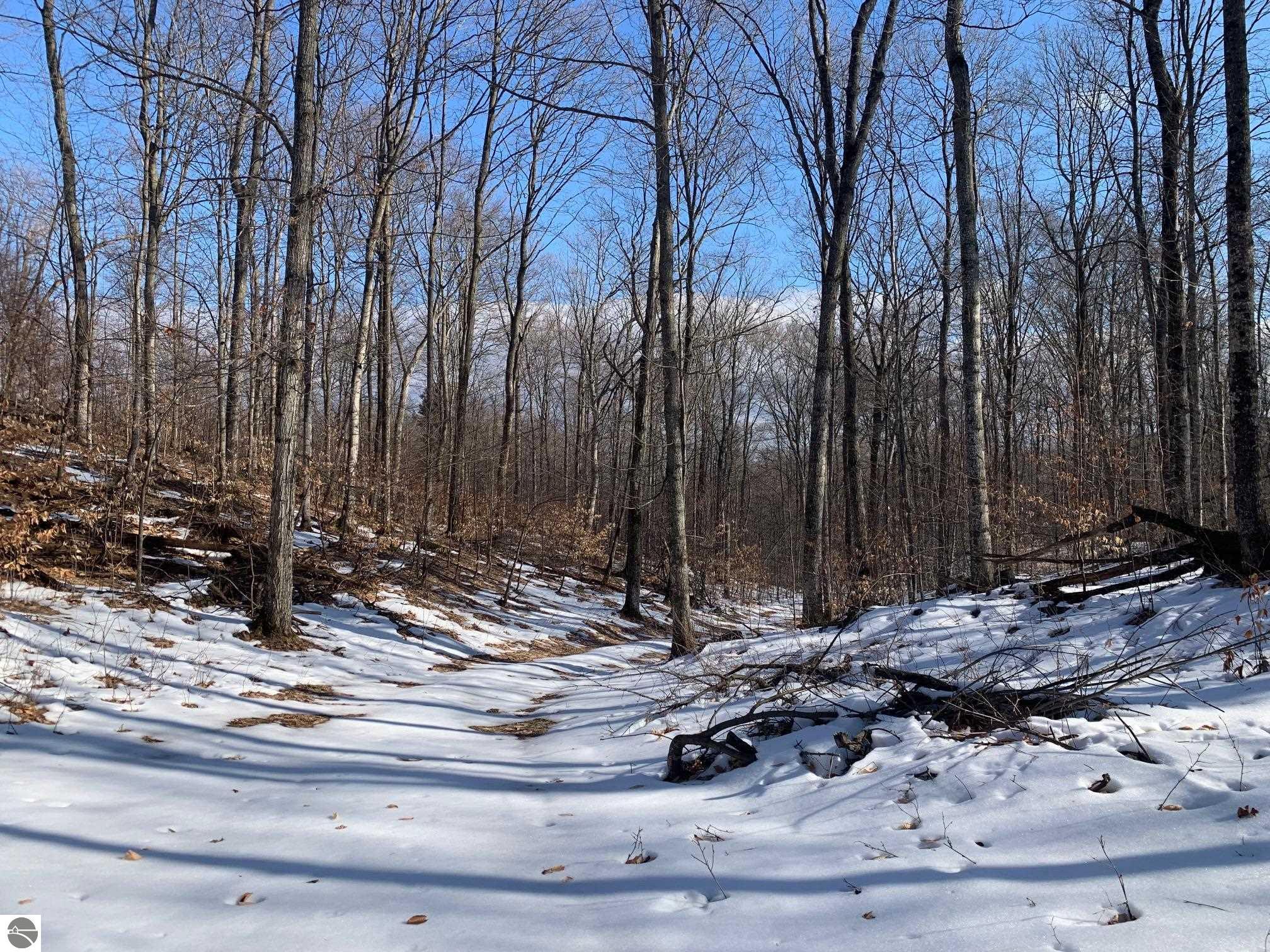 10 S Wheeler Road, Maple City Serbin Real Estate