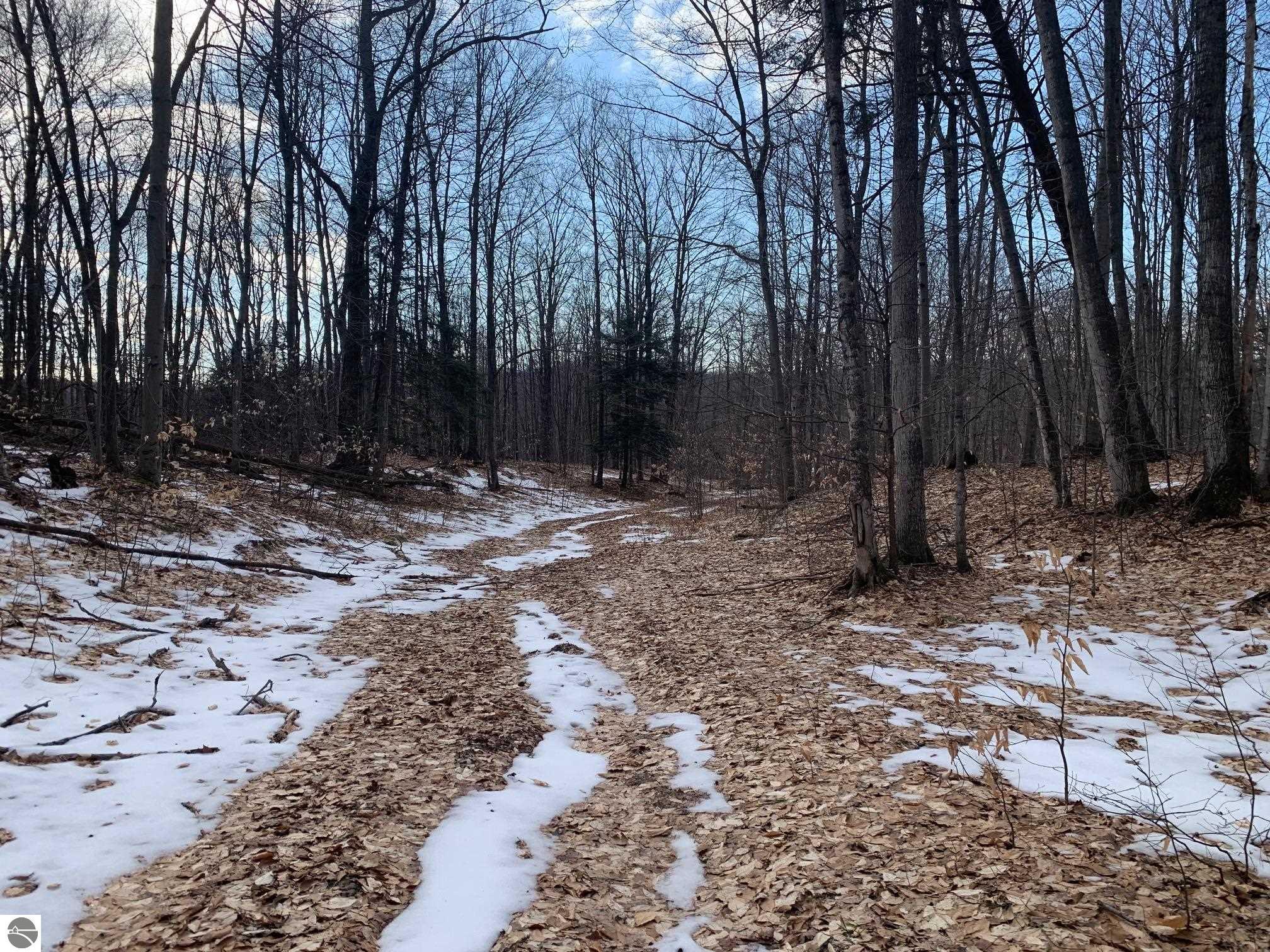 10 S Wheeler Road, Maple City Serbin Real Estate