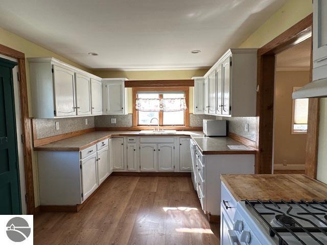 3844 E Rosebush Road, Rosebush, MI 48878 — Photo 6