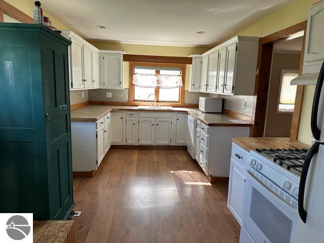 3844 E Rosebush Road, Rosebush, MI 48878 — Photo 7