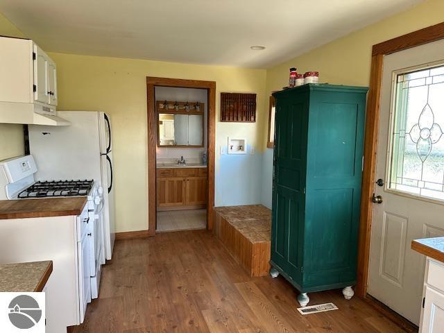 3844 E Rosebush Road, Rosebush, MI 48878 — Photo 8