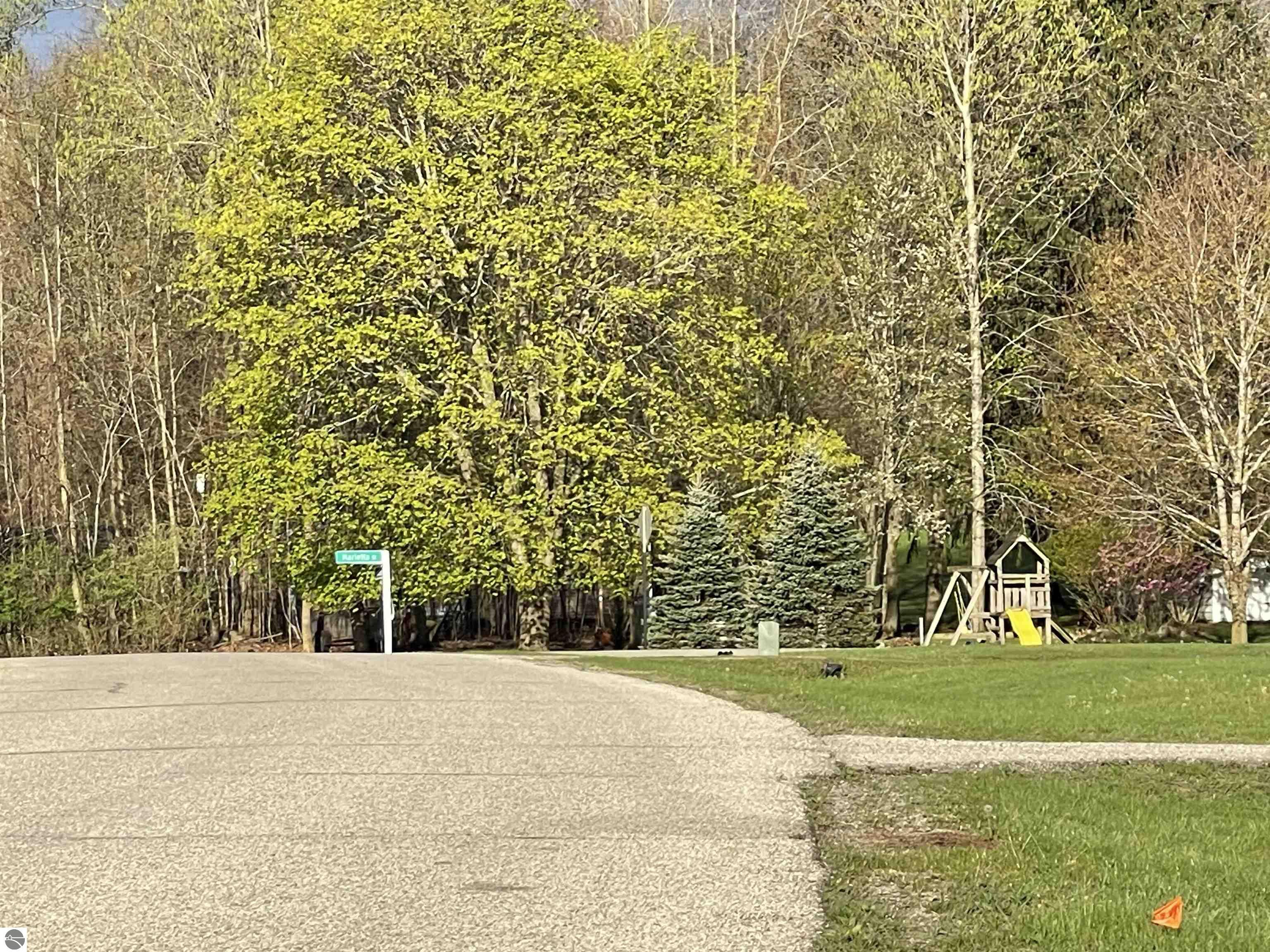 1000 Vallado Drive, Weidman, MI 48893 — Photo 21