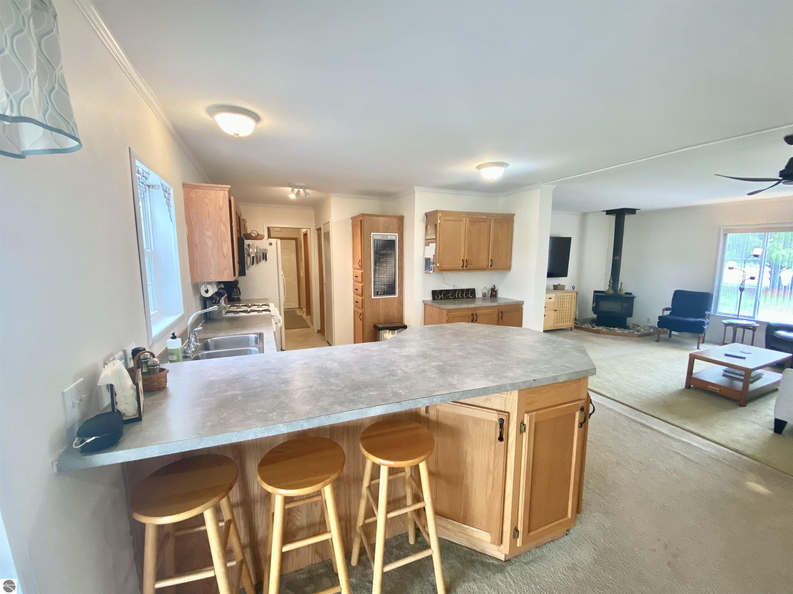 10700 Scenic Drive, Honor, MI 49640 — Photo 6
