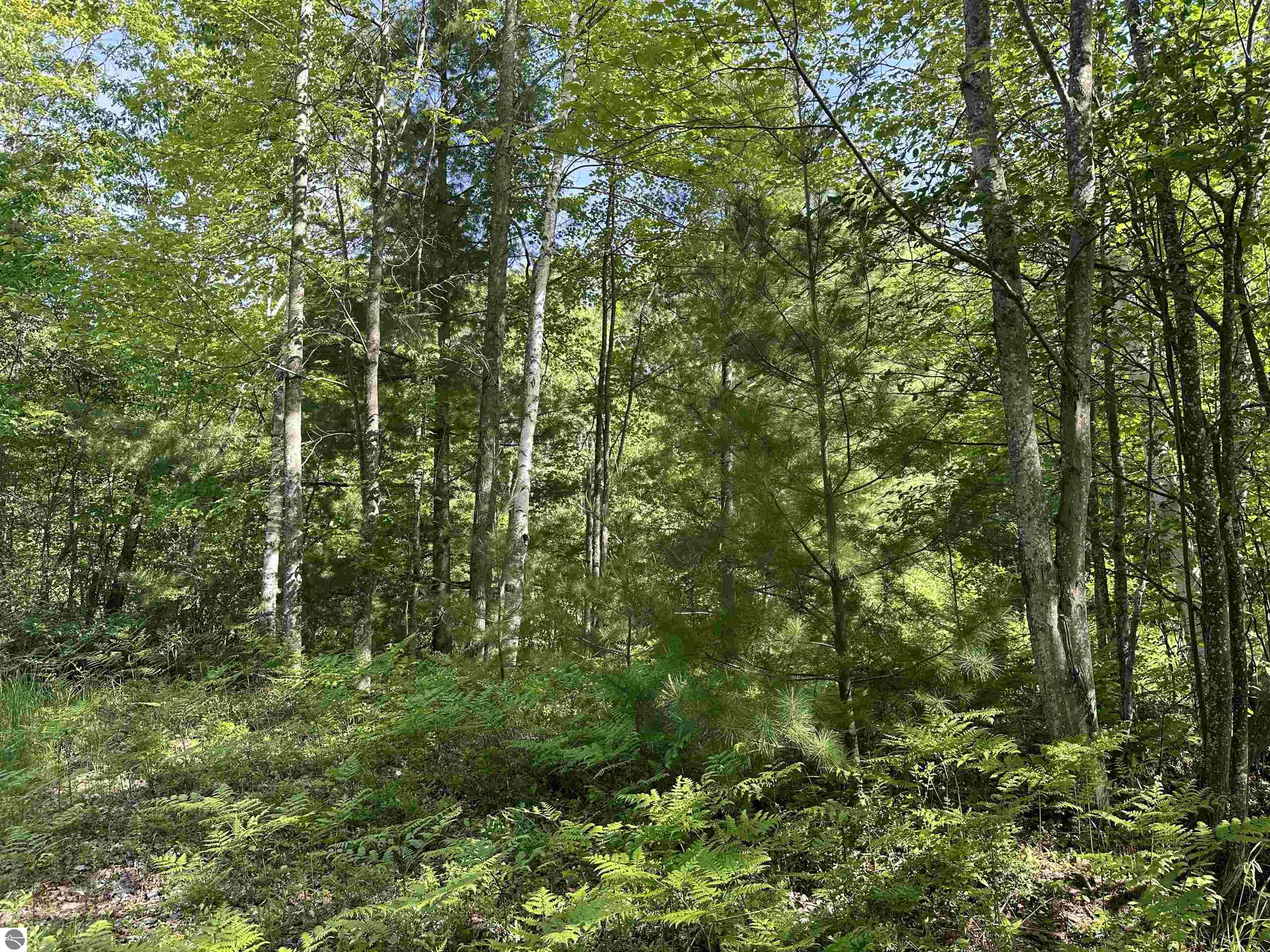 Image of property