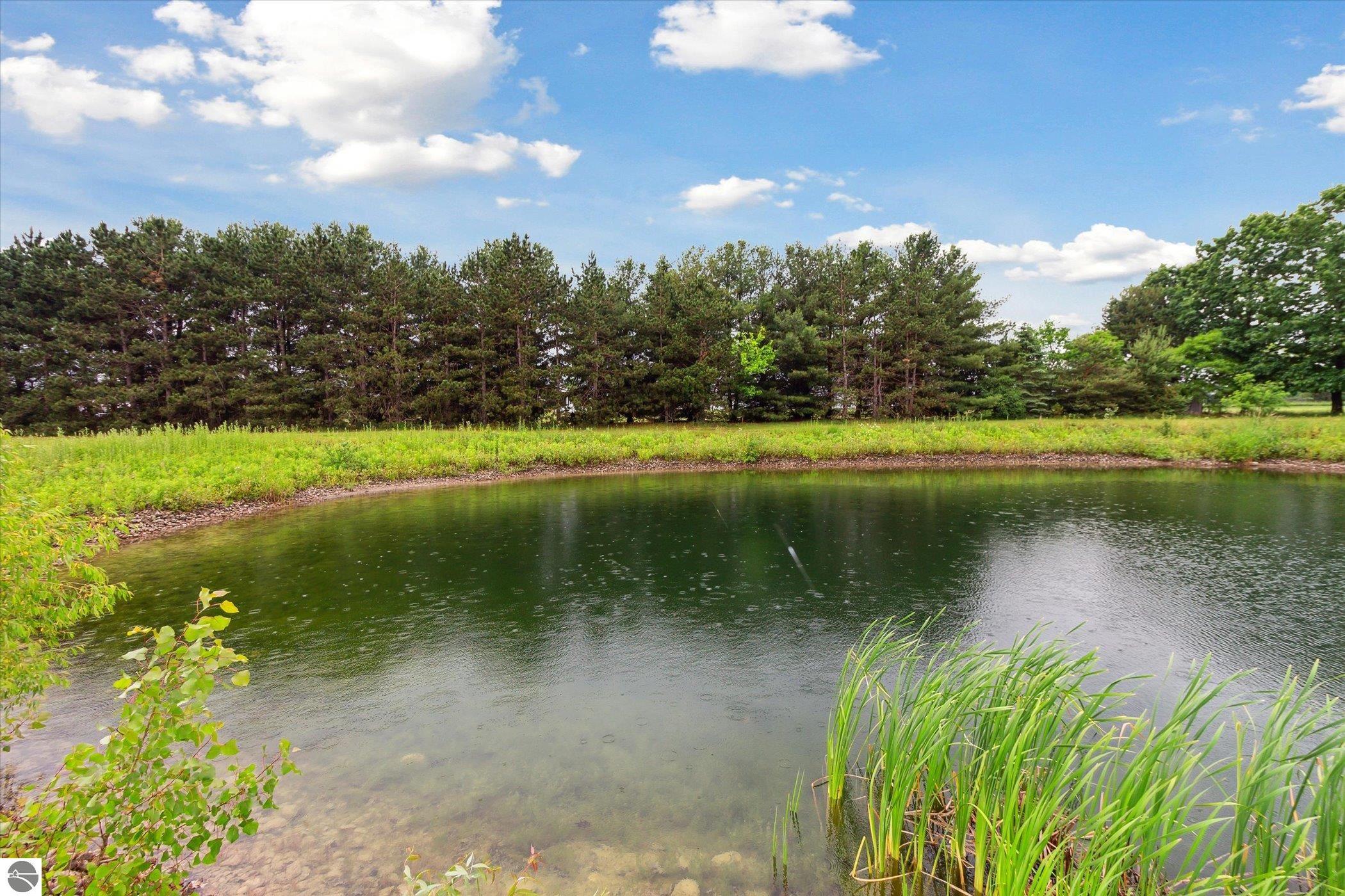 22290 Lakefield Road, Merrill, MI 48637 — Photo 46