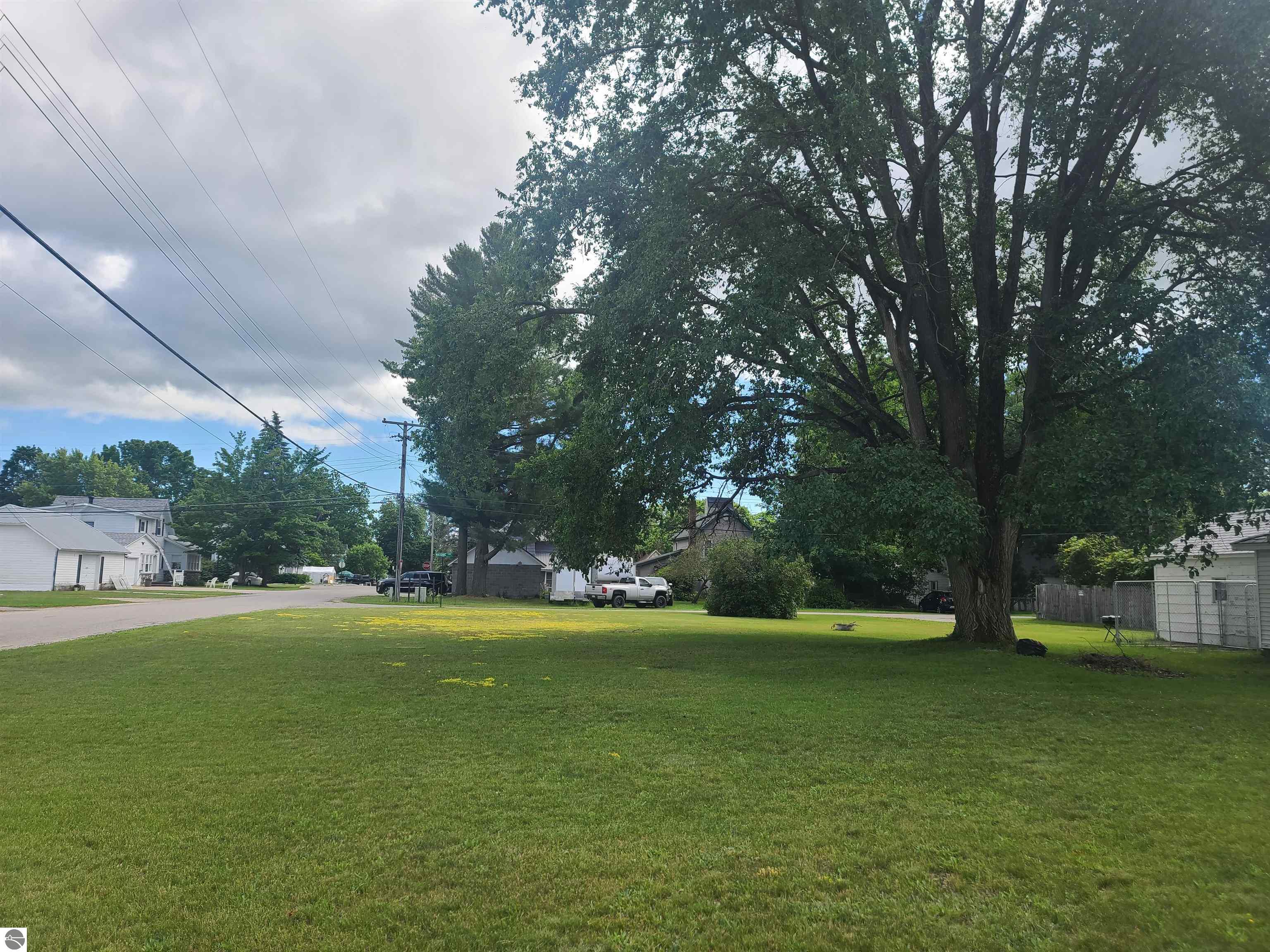 228 E Hinman Street, Mancelona, MI 49659 — Photo 5