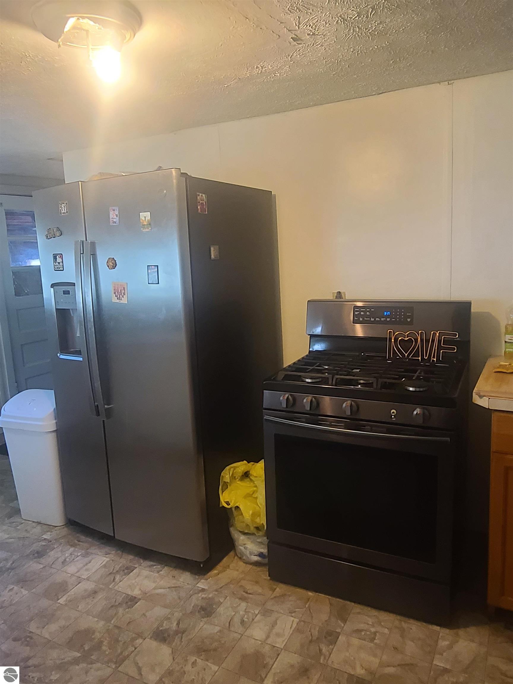 228 E Hinman Street, Mancelona, MI 49659 — Photo 8