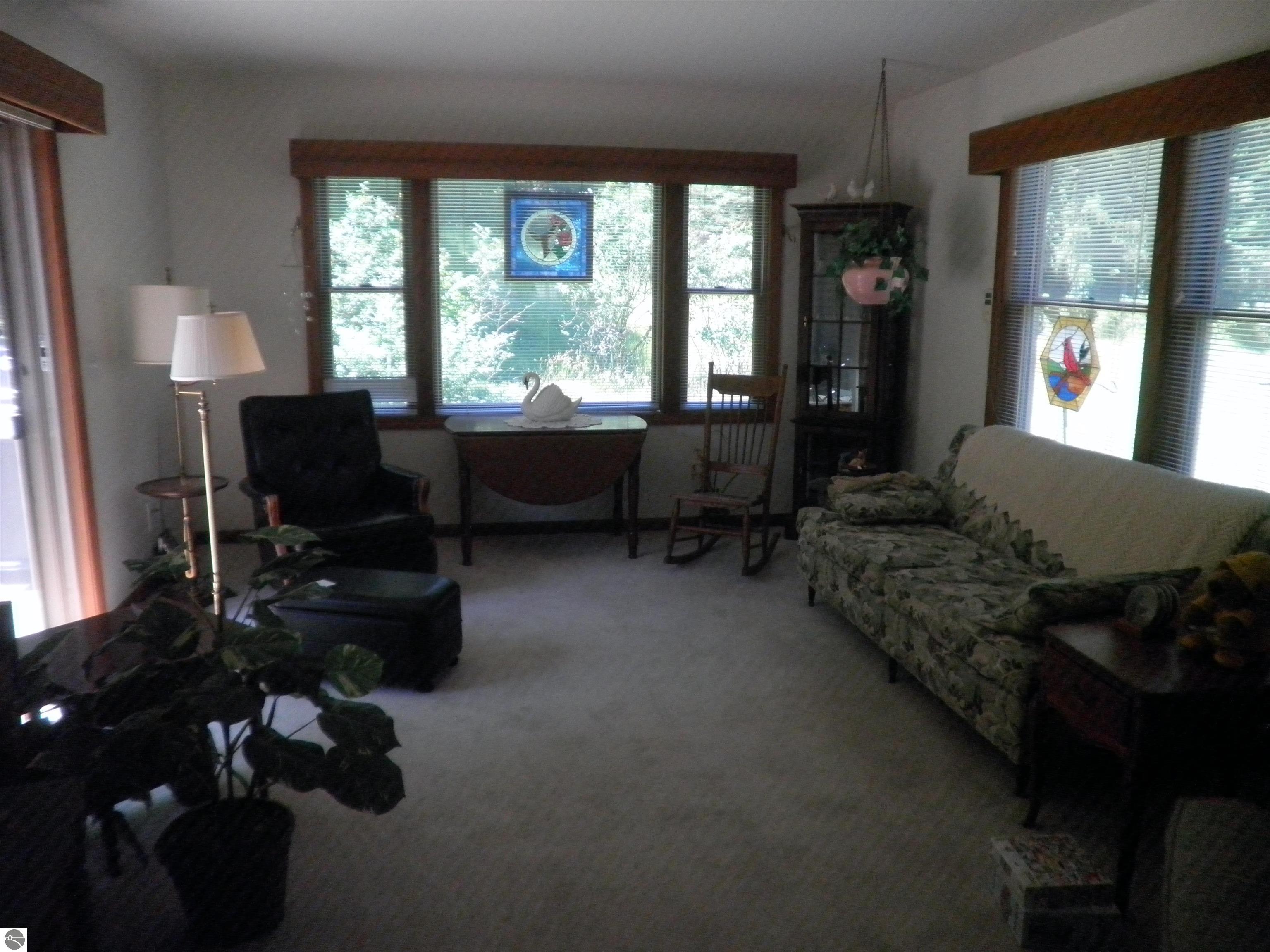 351 N M-88, Central Lake, MI 49622 — Photo 11