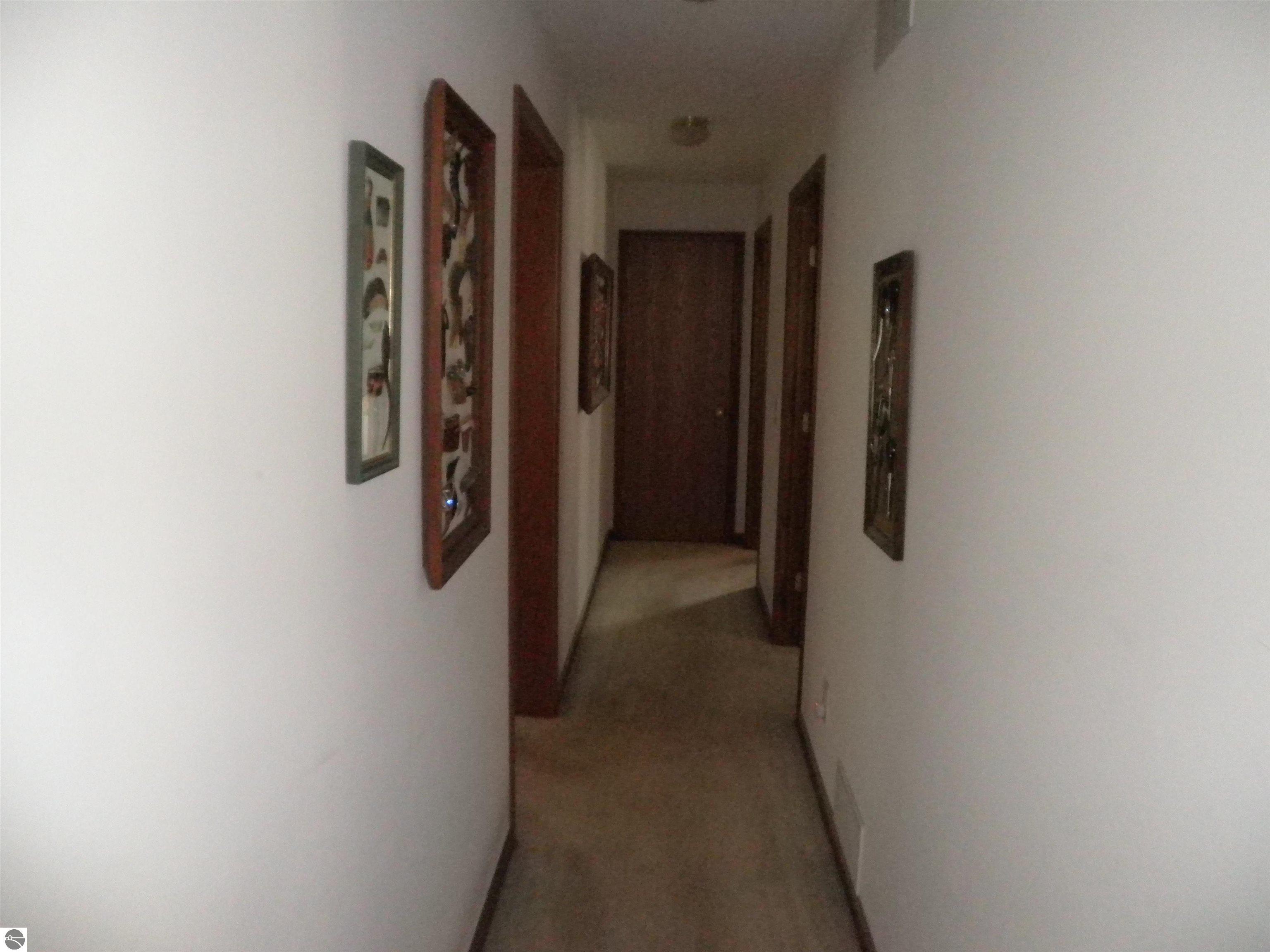 351 N M-88, Central Lake, MI 49622 — Photo 16