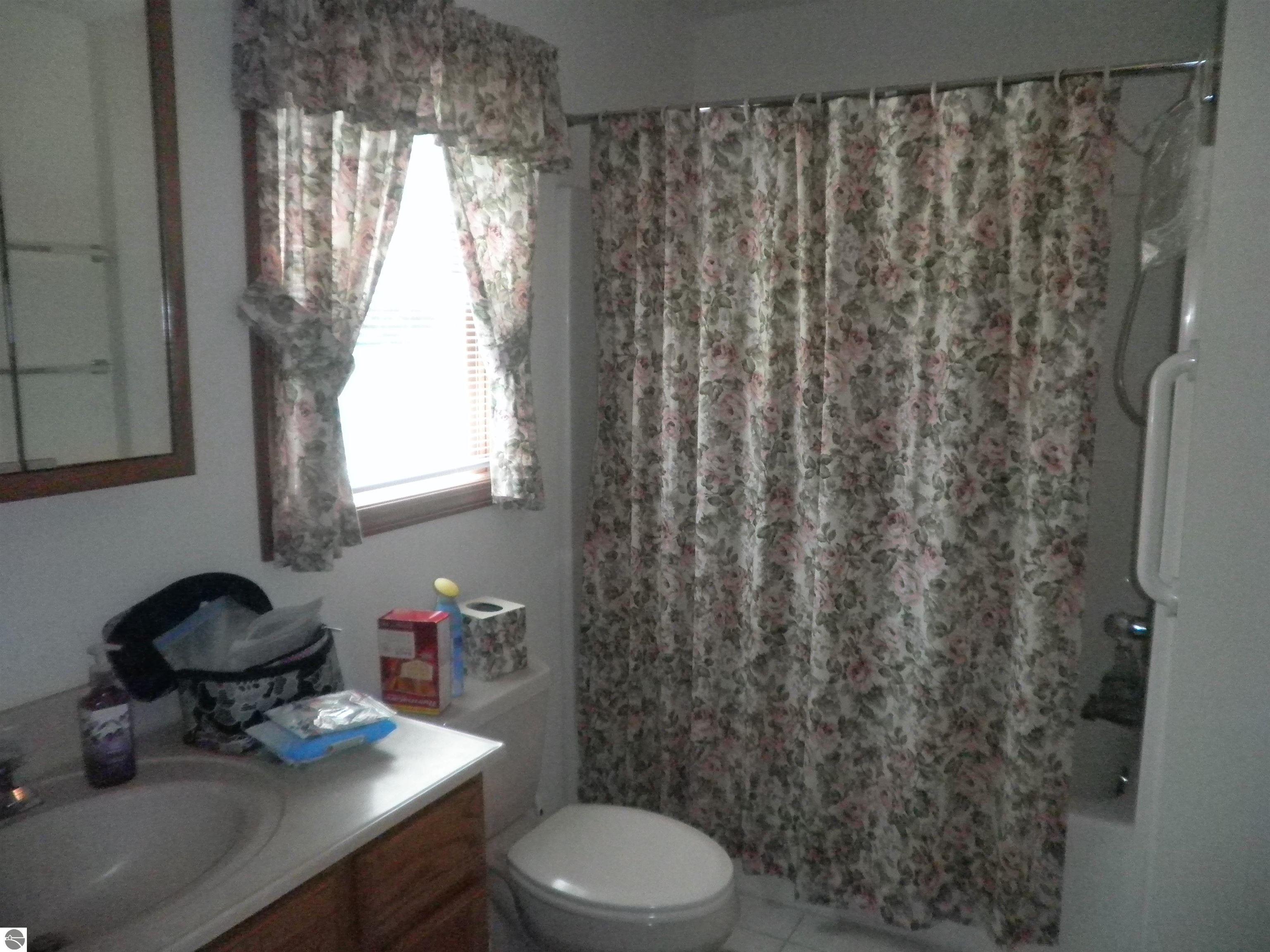 351 N M-88, Central Lake, MI 49622 — Photo 20