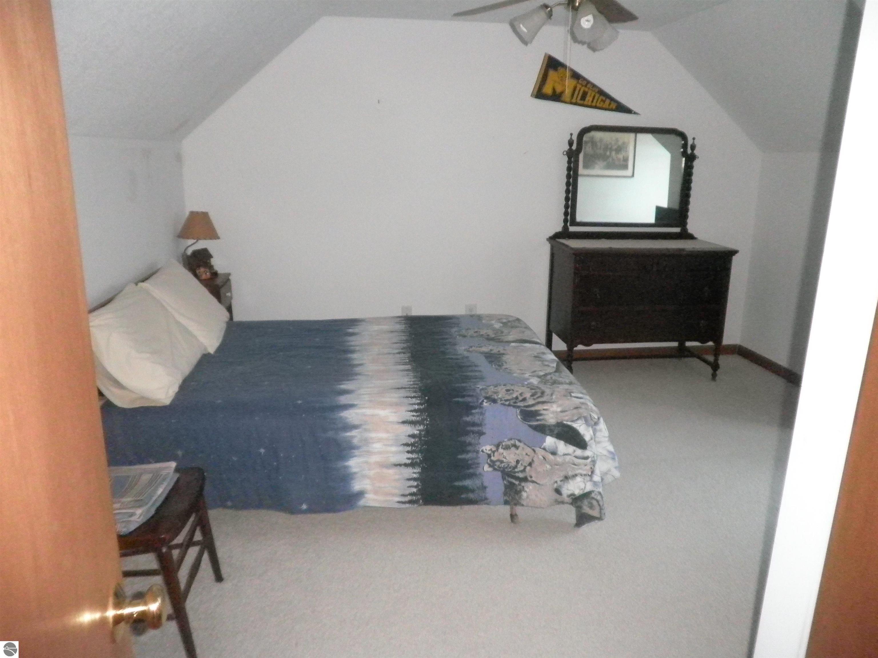 351 N M-88, Central Lake, MI 49622 — Photo 21