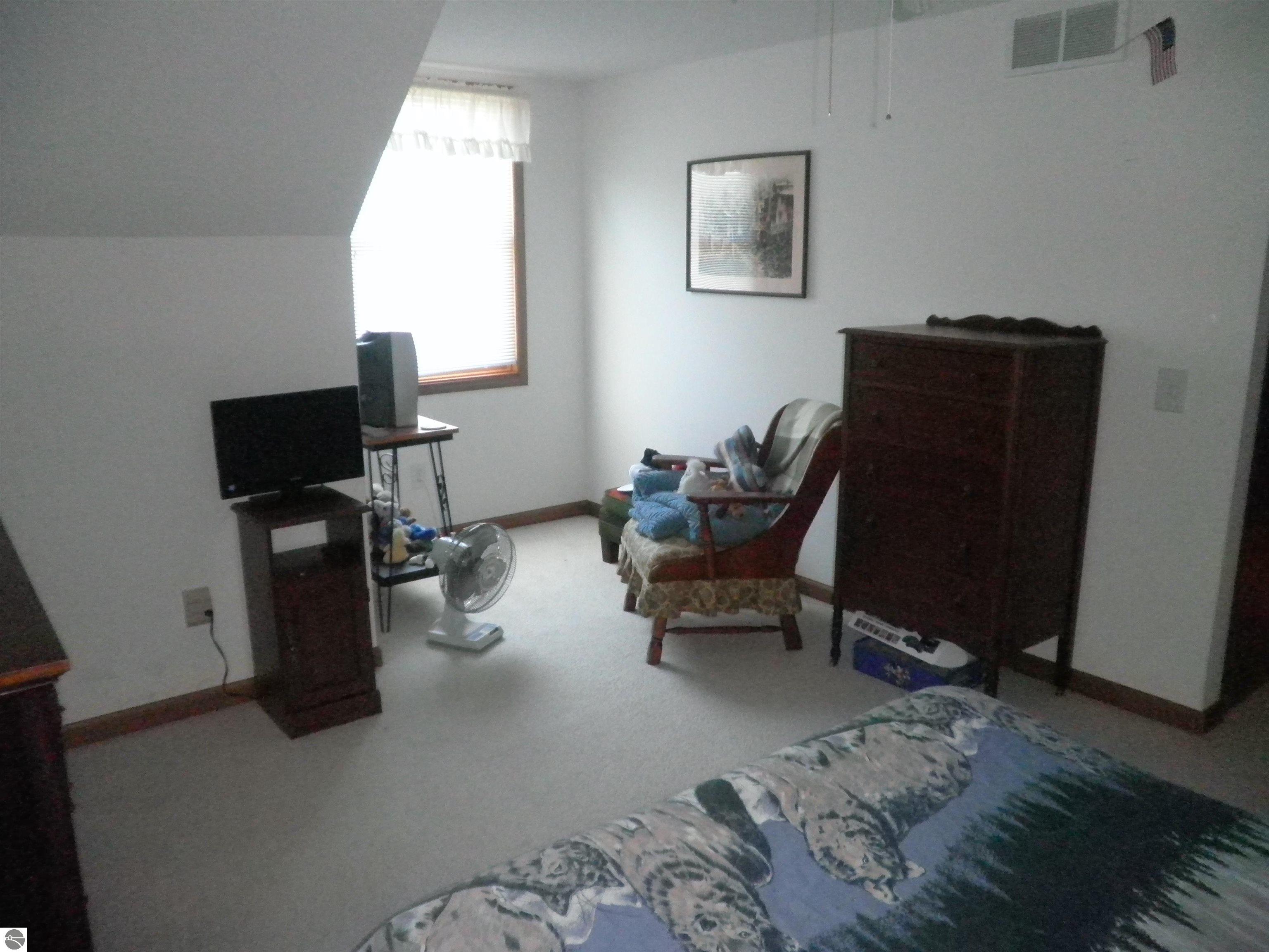 351 N M-88, Central Lake, MI 49622 — Photo 22