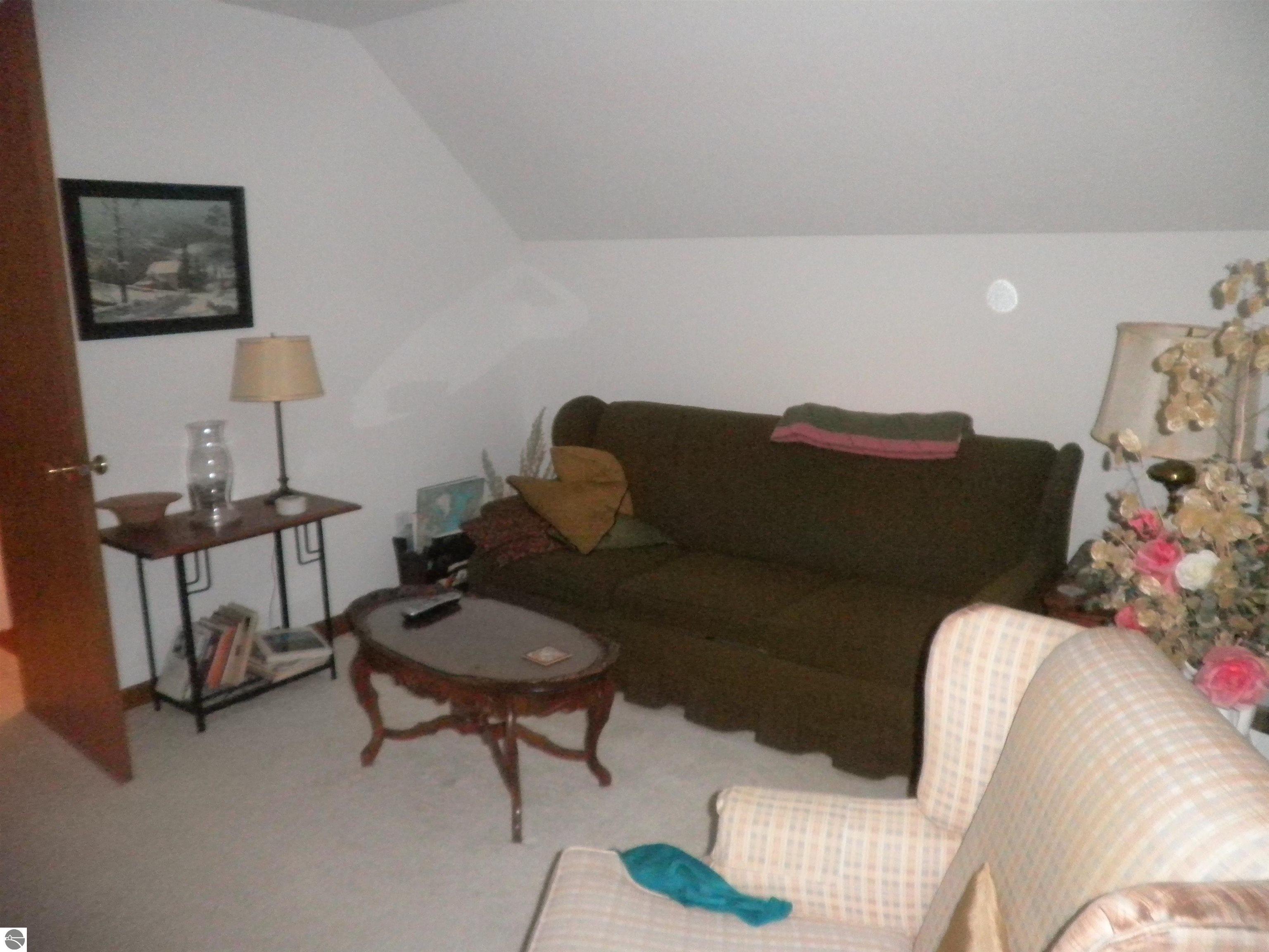 351 N M-88, Central Lake, MI 49622 — Photo 23