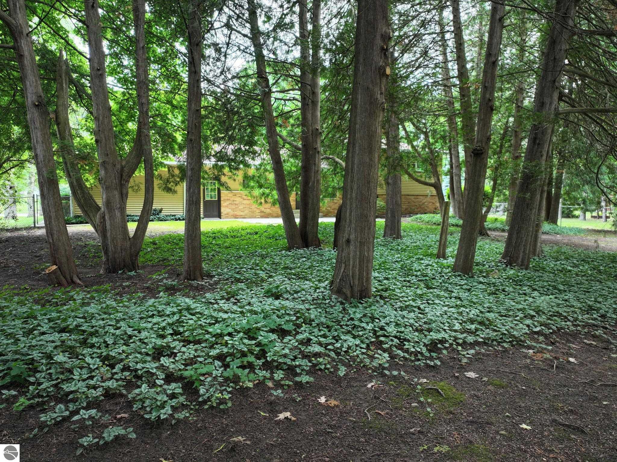 401 Orchard Avenue, Clare, MI 48617 — Photo 29