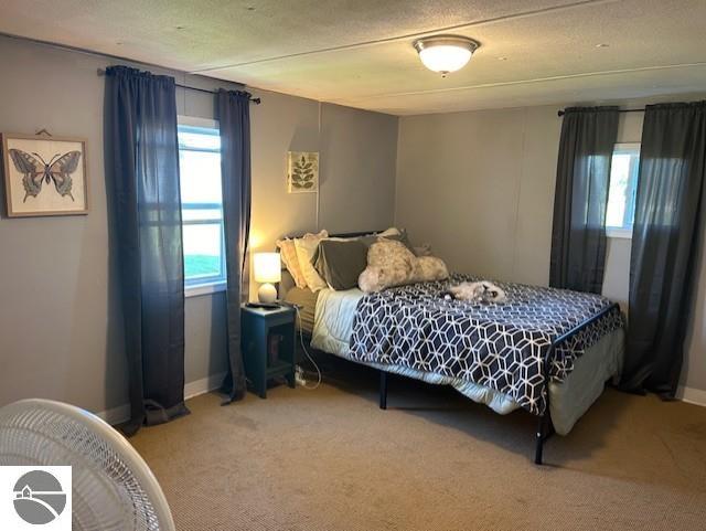 209 S Sterling, Ashley, MI 48806 — Photo 13