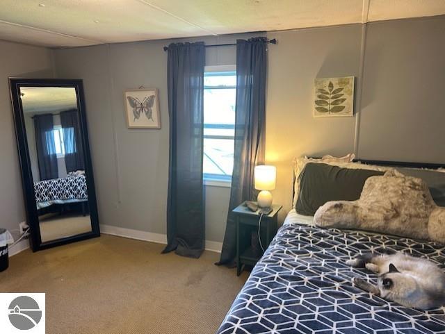 209 S Sterling, Ashley, MI 48806 — Photo 14