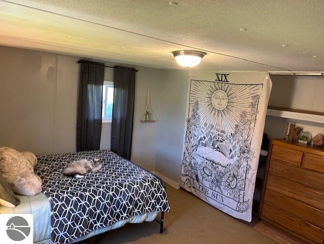 209 S Sterling, Ashley, MI 48806 — Photo 15