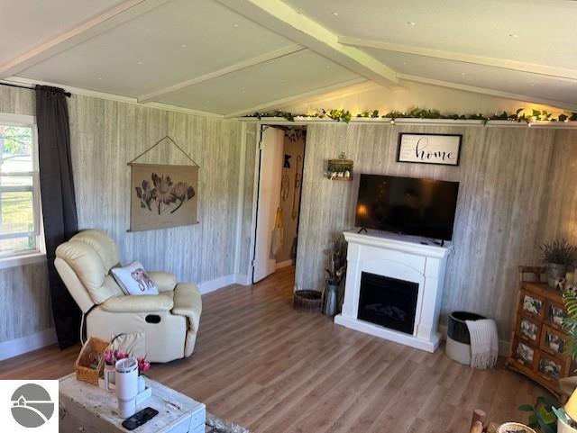 209 S Sterling, Ashley, MI 48806 — Photo 8