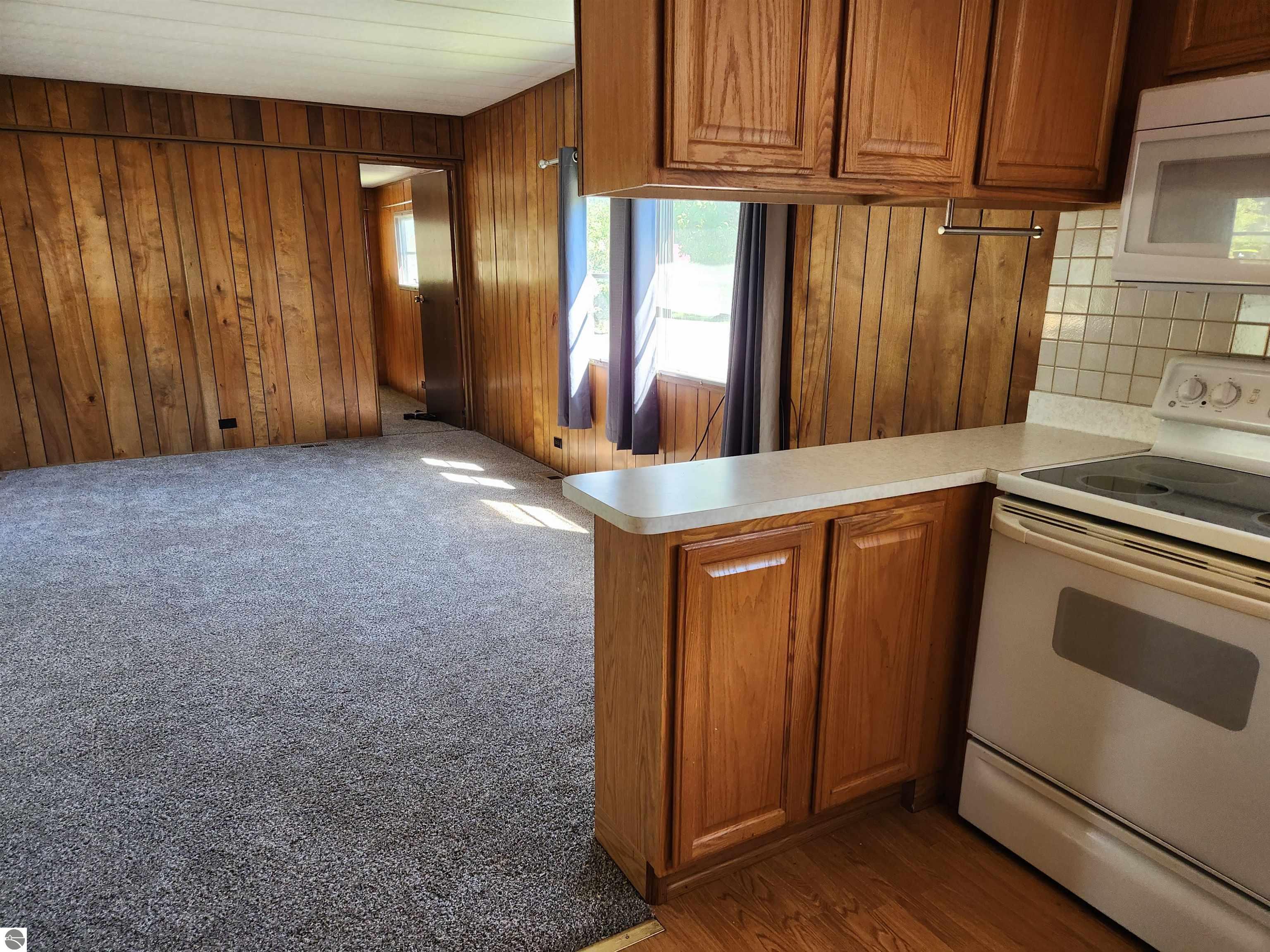 110 Elm Street, Kingsley, MI 49649 — Photo 4