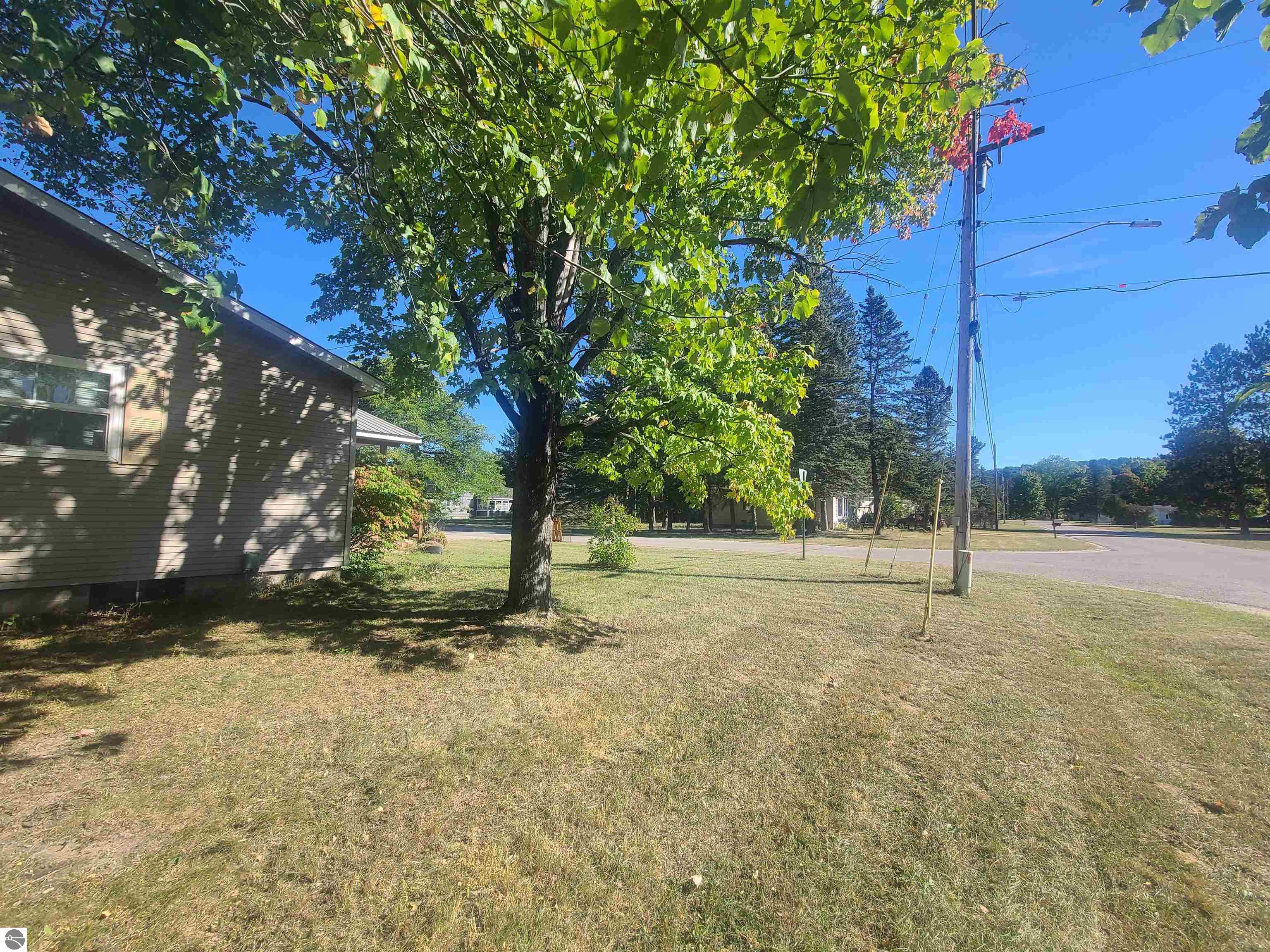 208 S Washington Street, Mancelona, MI 49659 — Photo 2