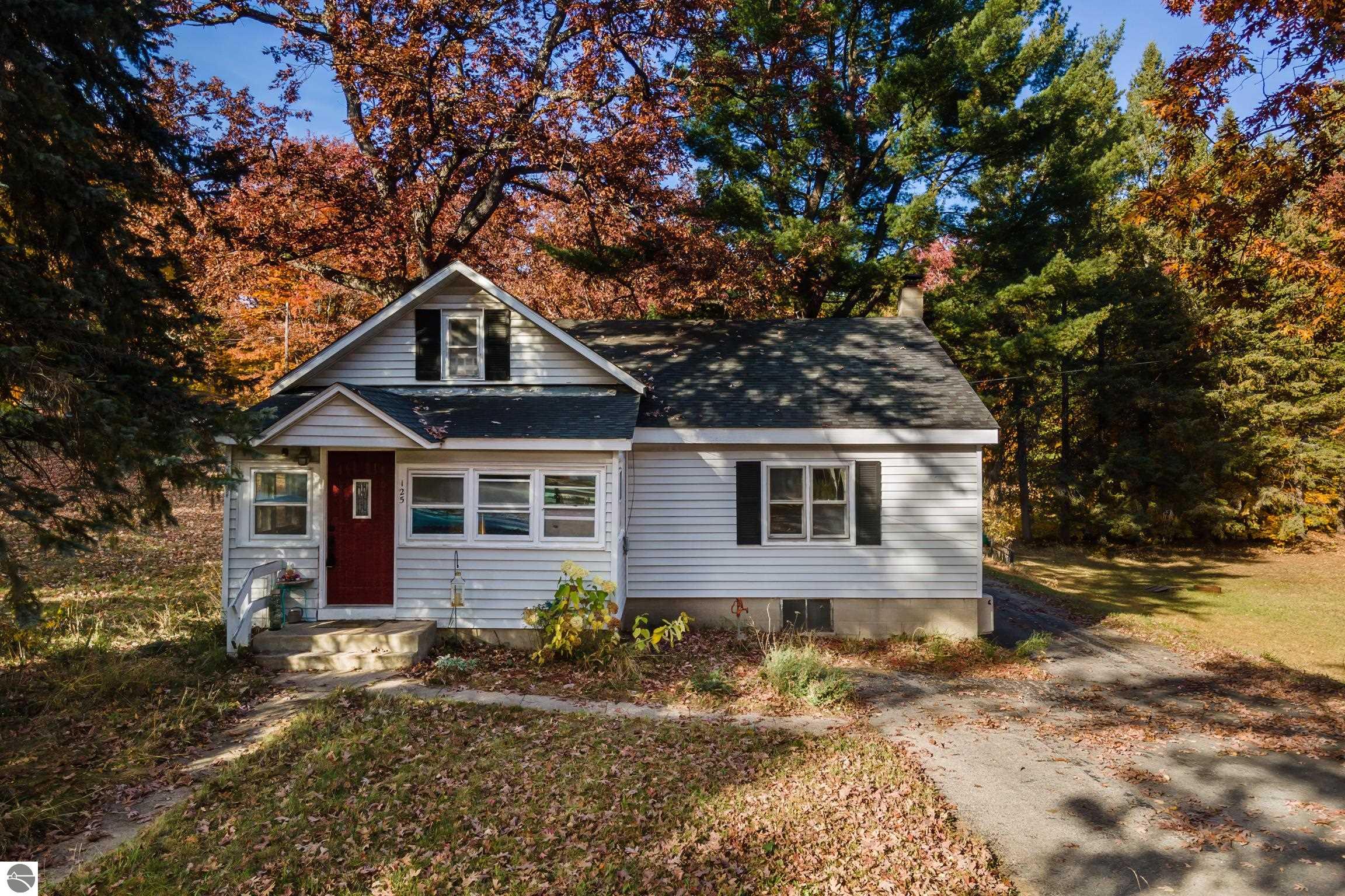 125 E Front Street, Fife Lake, MI 49633 — Photo 4