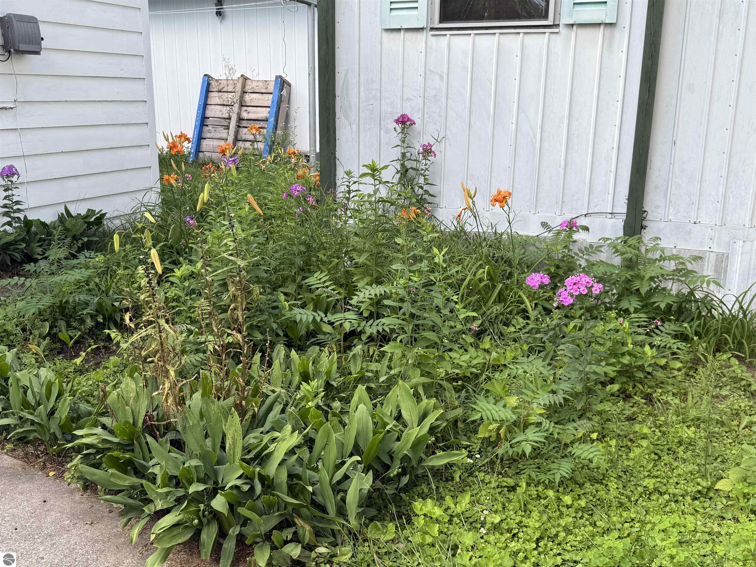 Click to enlarge photo