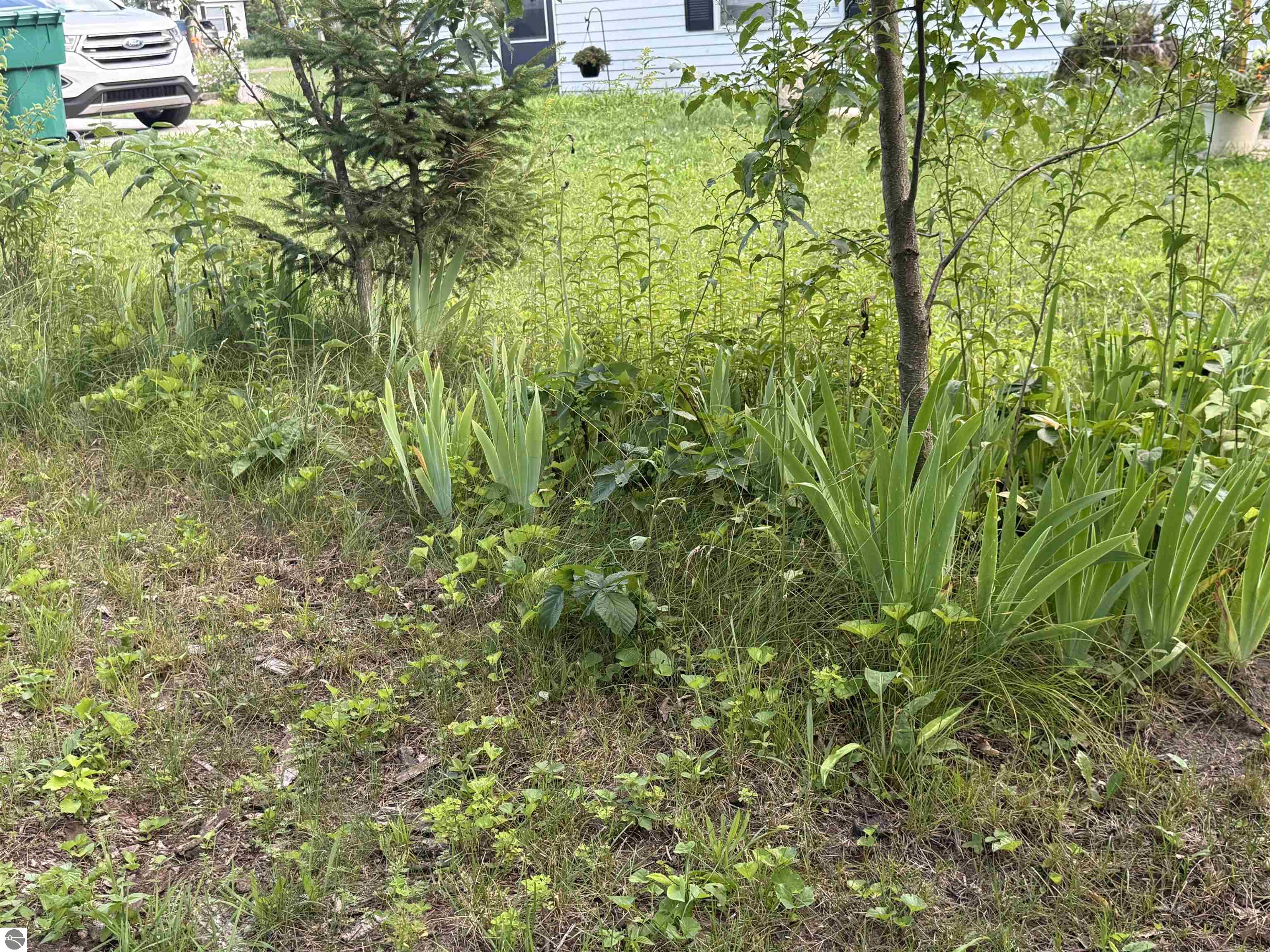 Click to enlarge photo