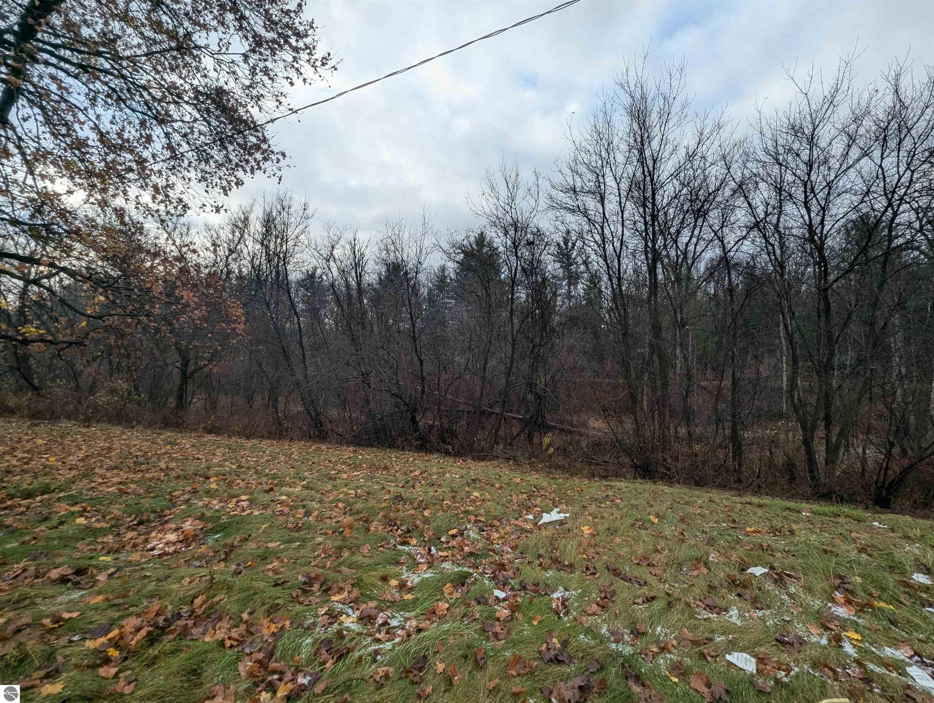 75 W Saginaw Road, Sanford, MI 48657 — Photo 10