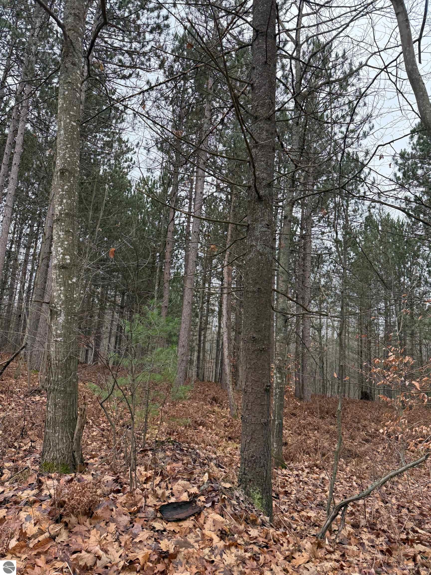 Image of property