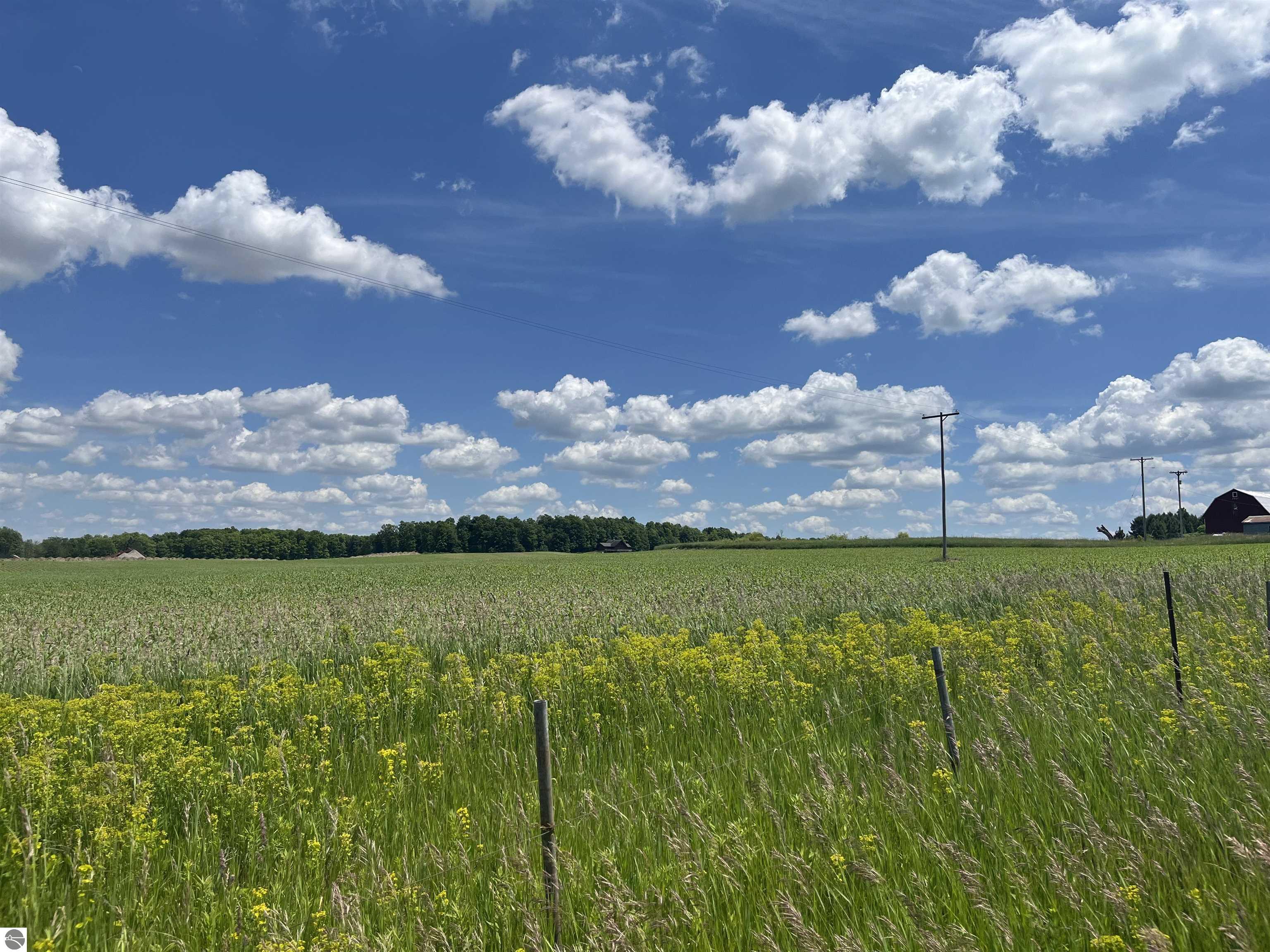 Image of property