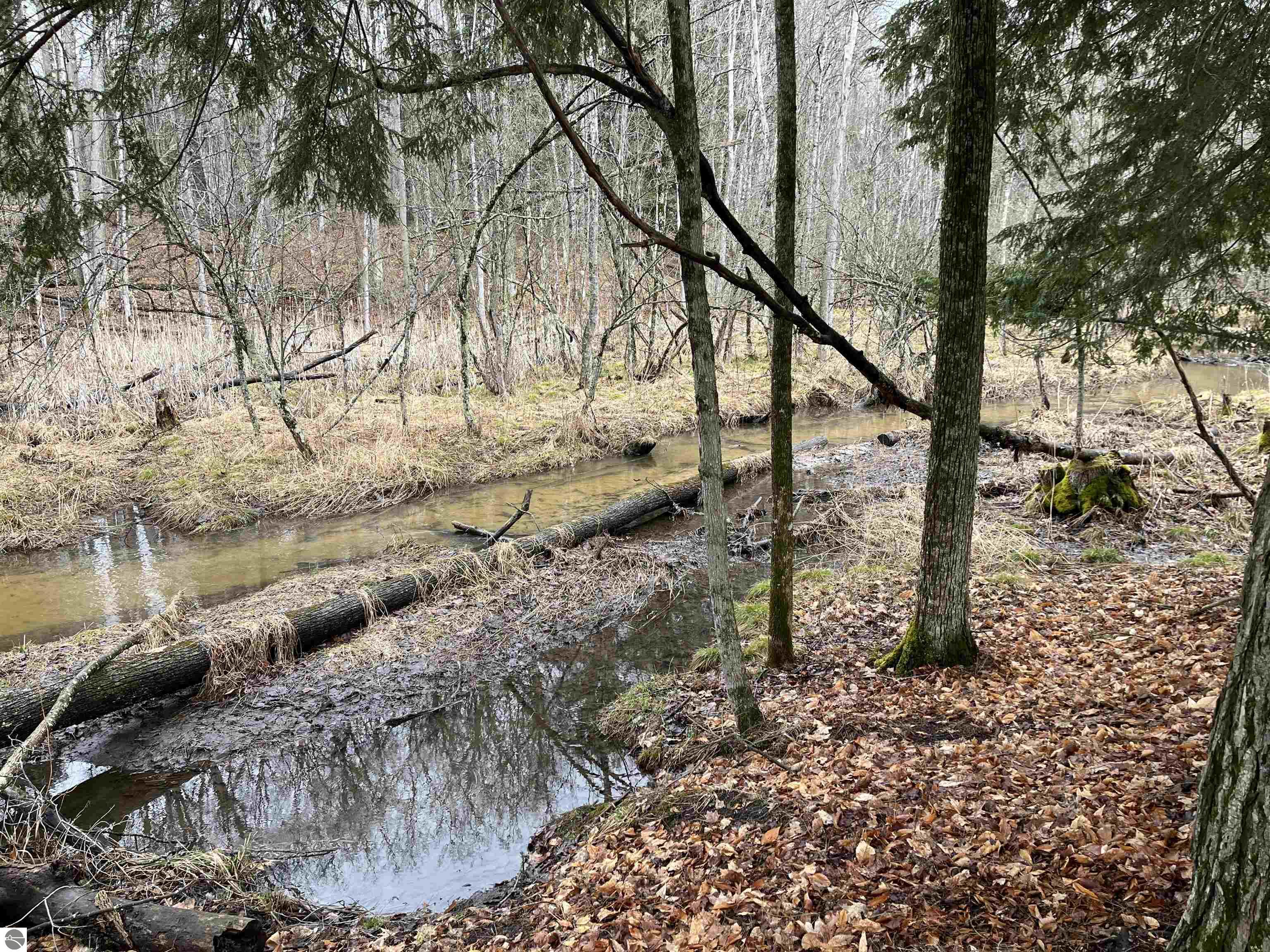 Image of property