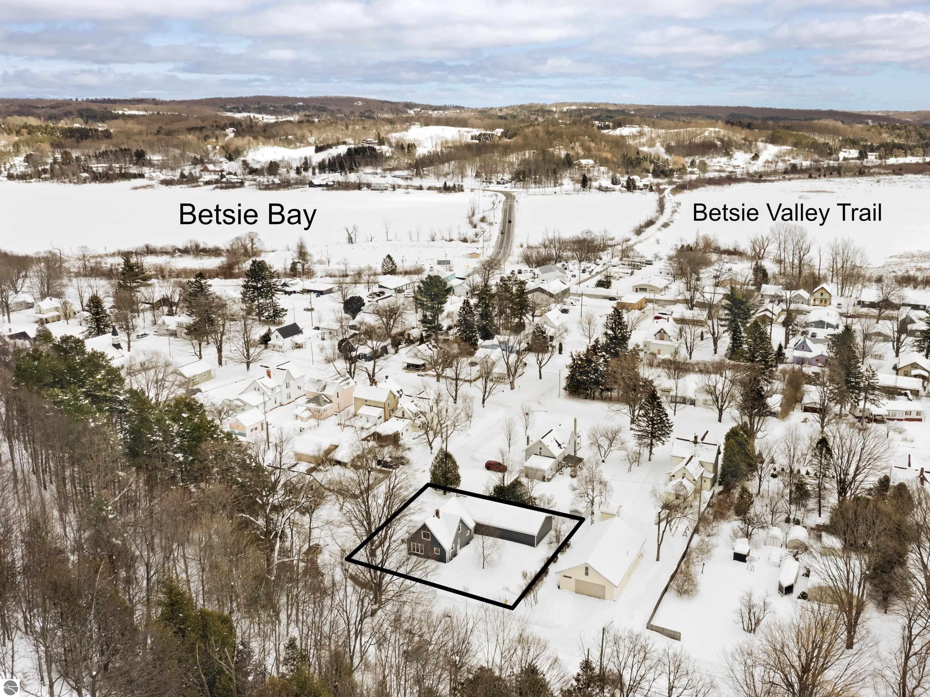 341 Pearson Street, Elberta, MI 49628 — Photo 5