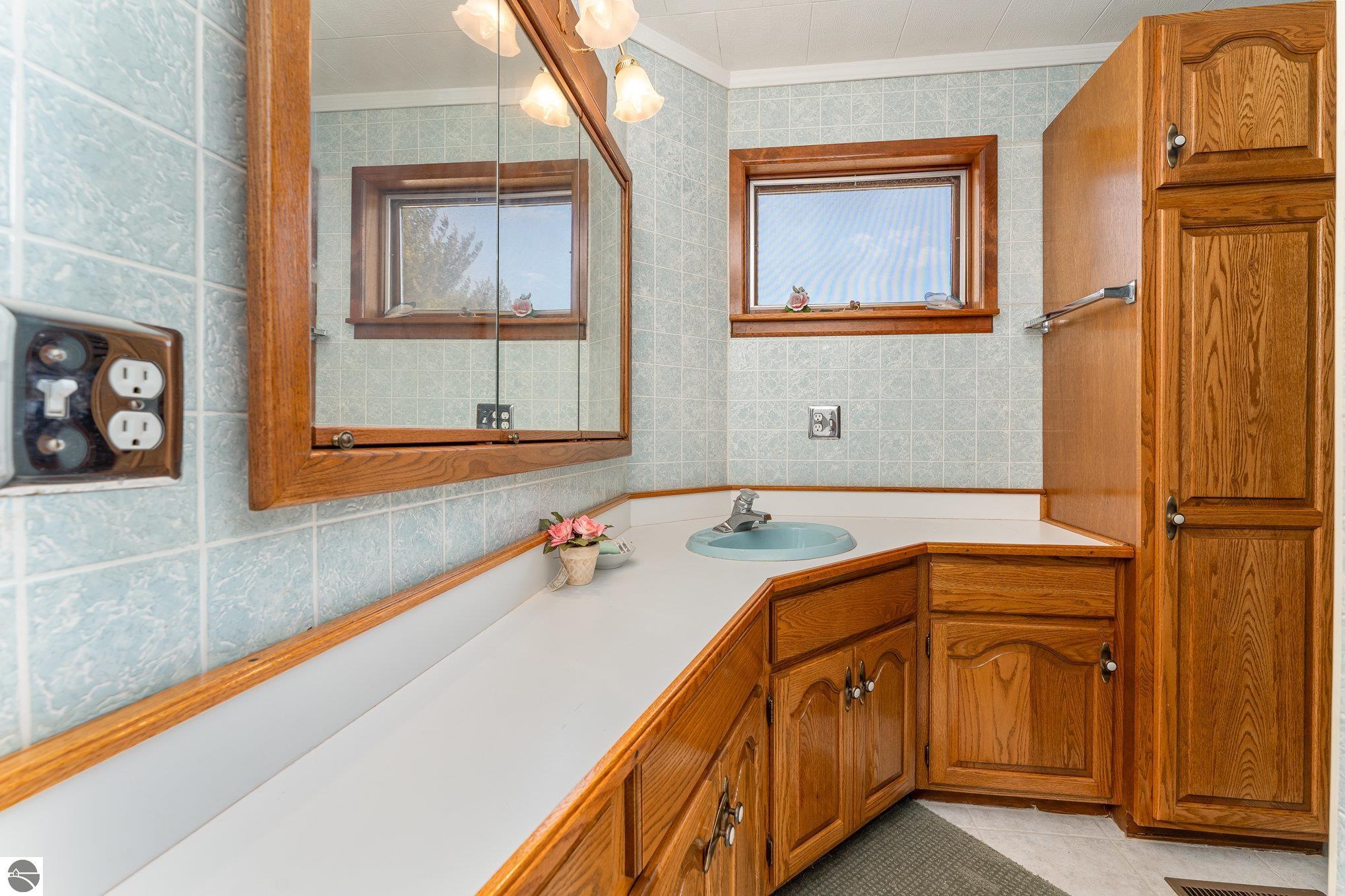 1046 Isabella Vista Drive, Weidman, MI 48893 — Photo 11