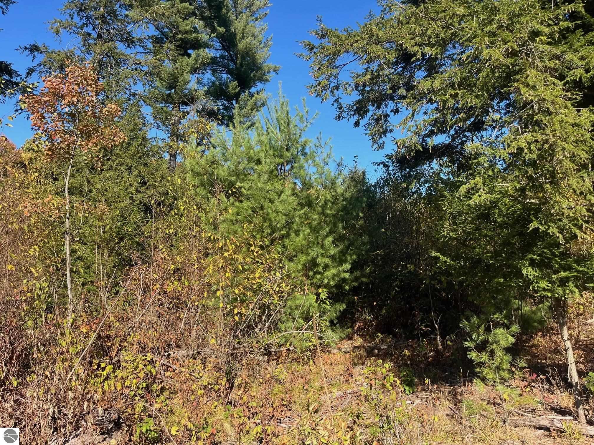 Image of property
