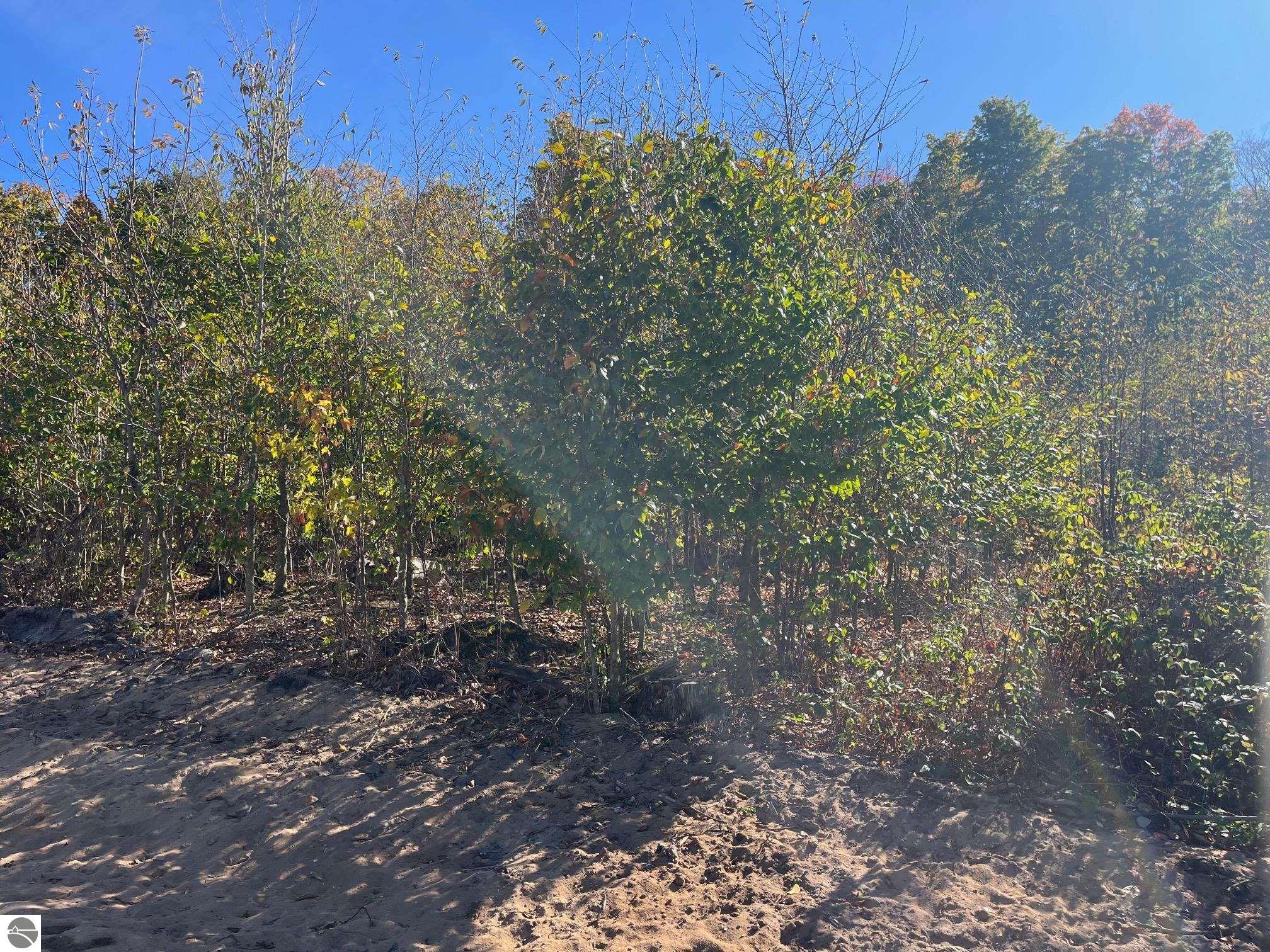 Image of property